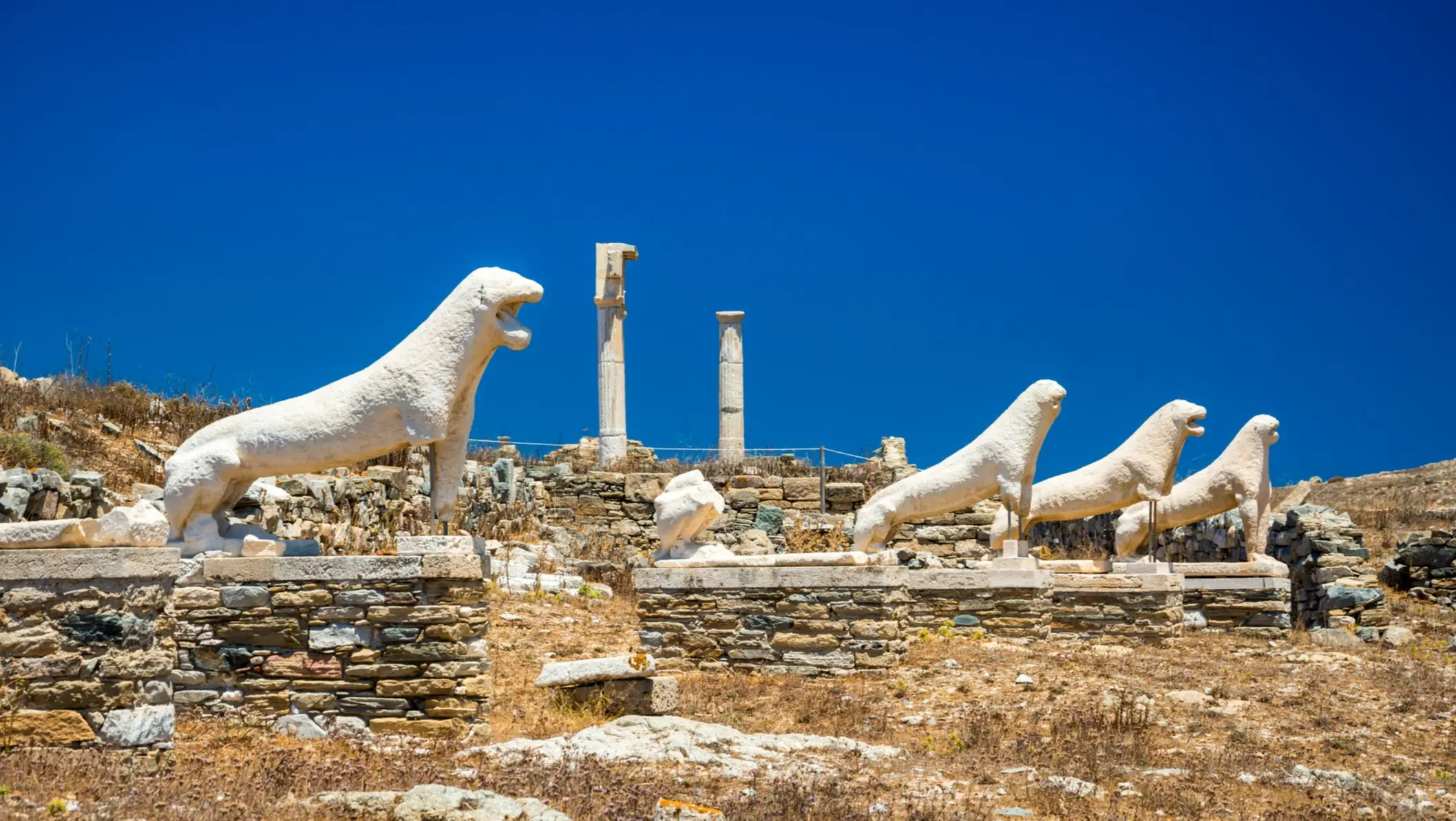 Musée, Delos, Grèce Statues d'animaux sur les ruines anciennes, île de Délos, dans les Cyclades, en Grèce.