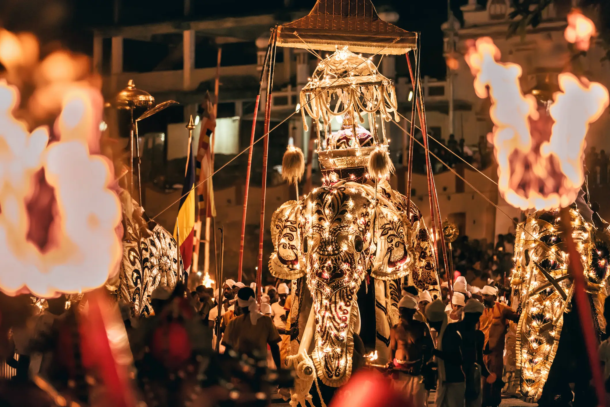 Ein majestätischer Tusker Nadungamuwe Raja in Esala Perahera, Sri Lanka

