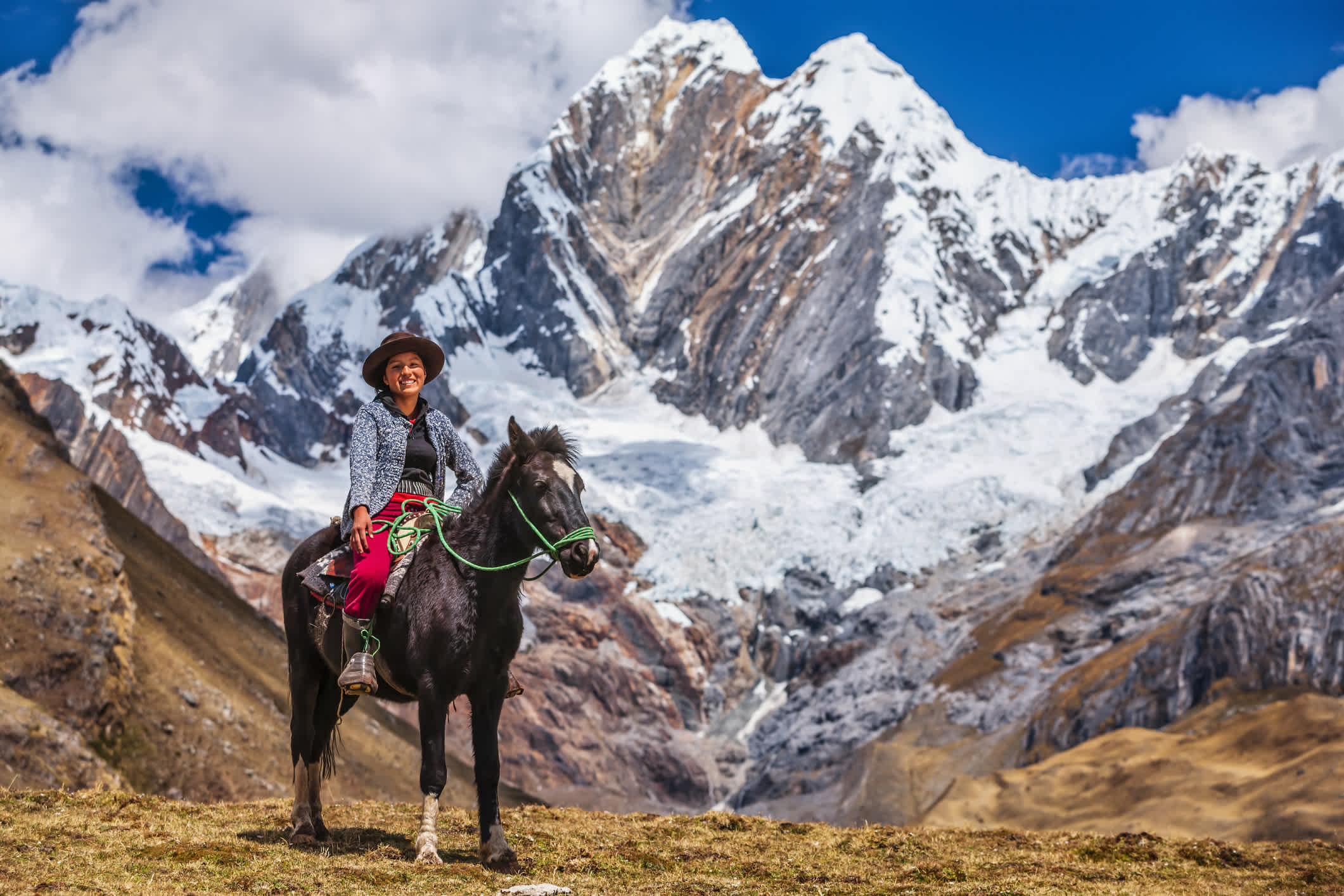 Cheval dans les Andes péruviennes, Amérique du Sud