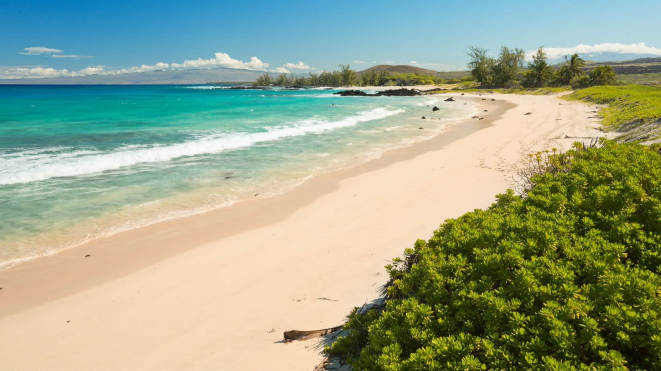 Der Strand Makalawena Beach, Big Island, Hawaii, USA bei Sonnenschein und mit Blick auf das Meer sowie die natürliche Vegetation.
