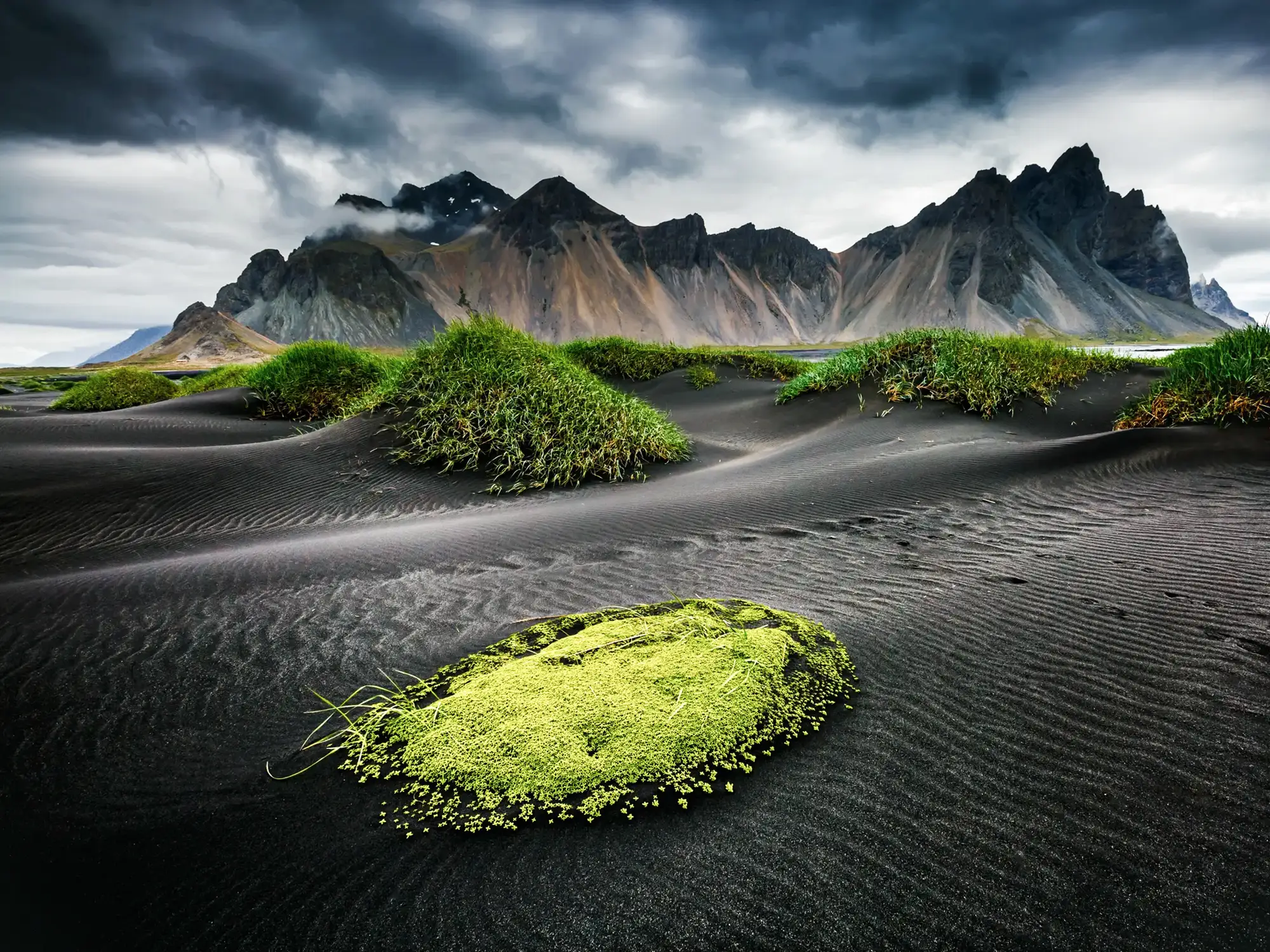 Dunes de sable noir et collines vertes devant des montagnes, Vestrahorn, Höfn, Islande.