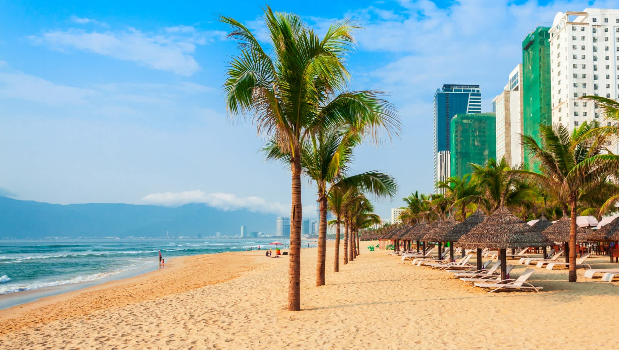 Transats sous des parasols au bord des plamiers sur la plage urbaine de My Khe au centre de Da Nang