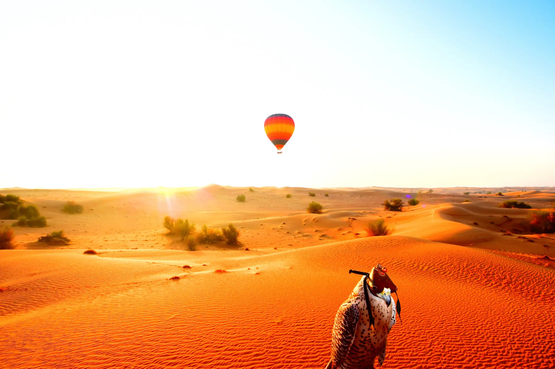 Dubai, Wüste, Heißluftballon Falke im Vordergrund und Heißluftballon im Hintergrund in der Wüste Dubais