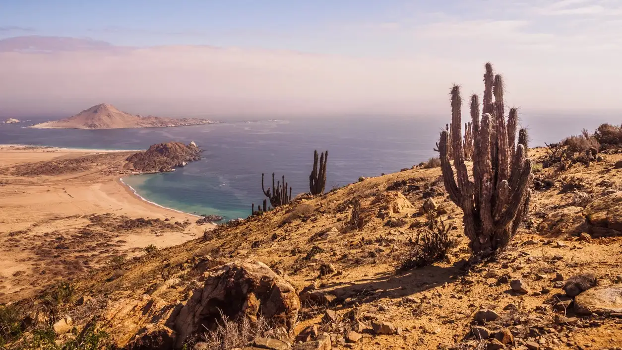 Côte du parc national du Pan de Azúcar au Chili. Côte de l'Atacama et cactus. Paysage désertique