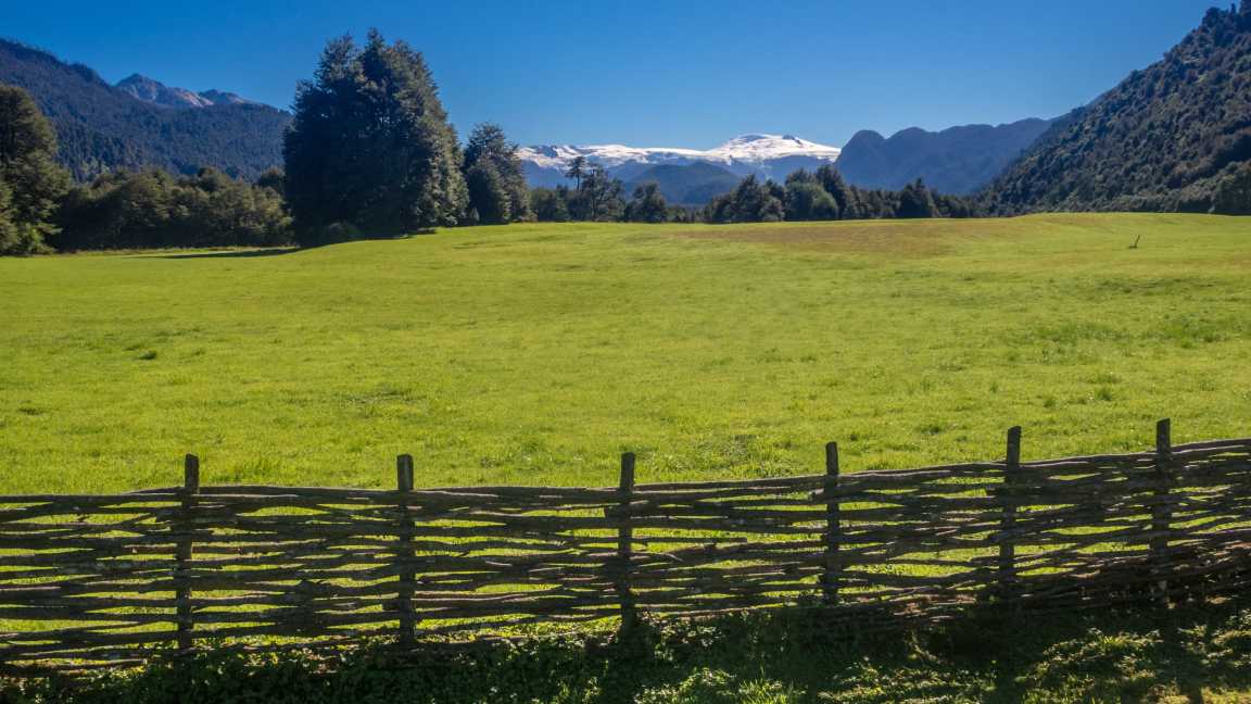 Landschaft im Pumalin Naturpark Patagonien, Chile im Sommer