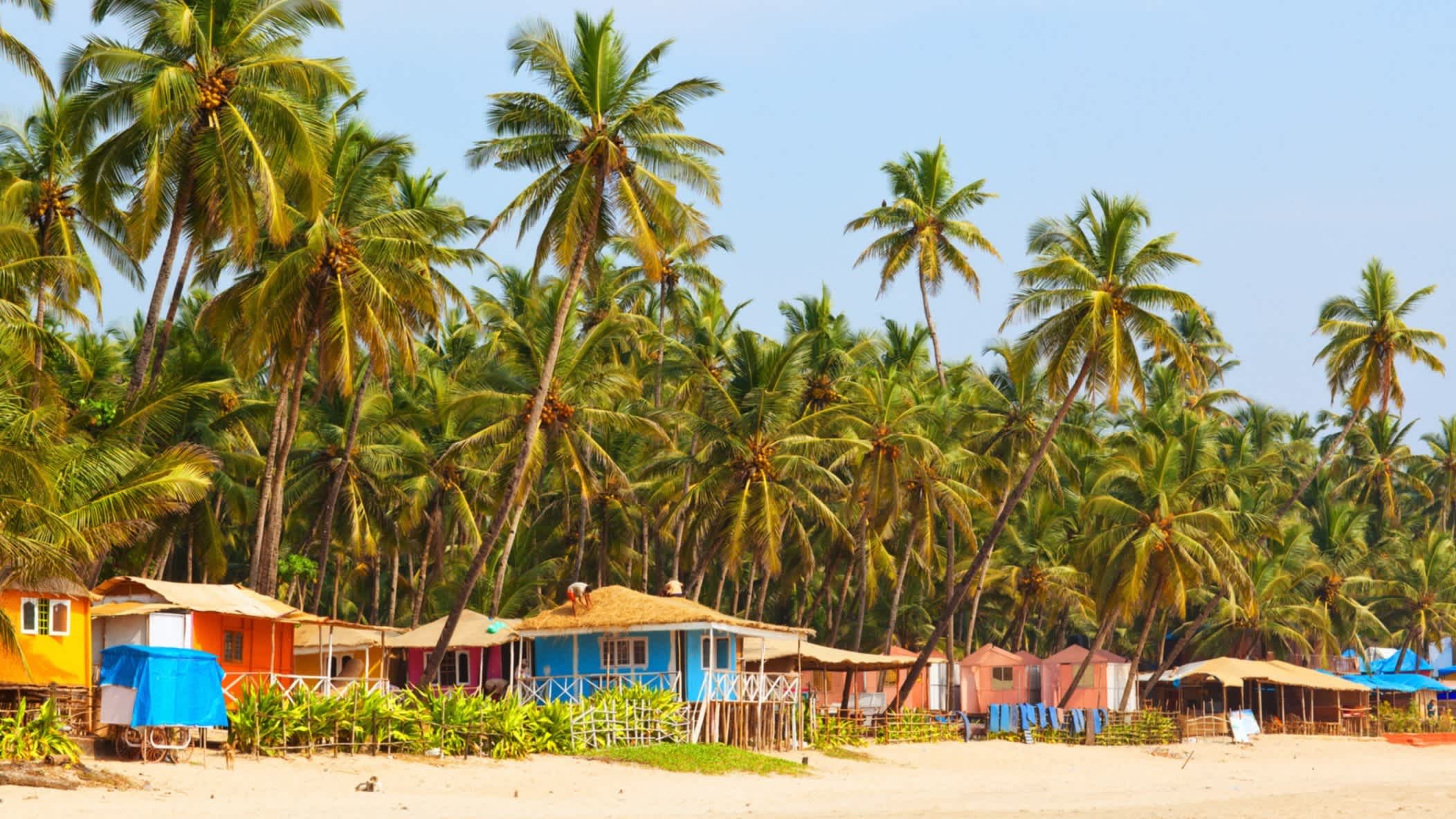 Bunte Häuser am Strand von Palolem, Goa, Indien mit vielen Palmen und bei Sonnenschein.