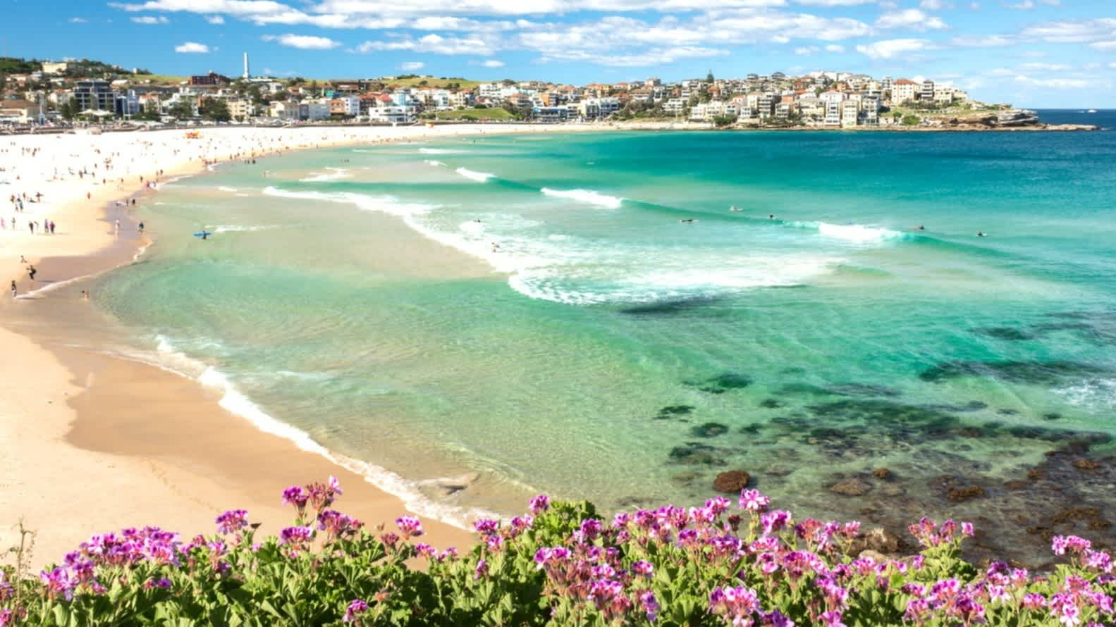 Blick zum Bondi Beach in der Nähe Sydney, New South Wales, Australien. 