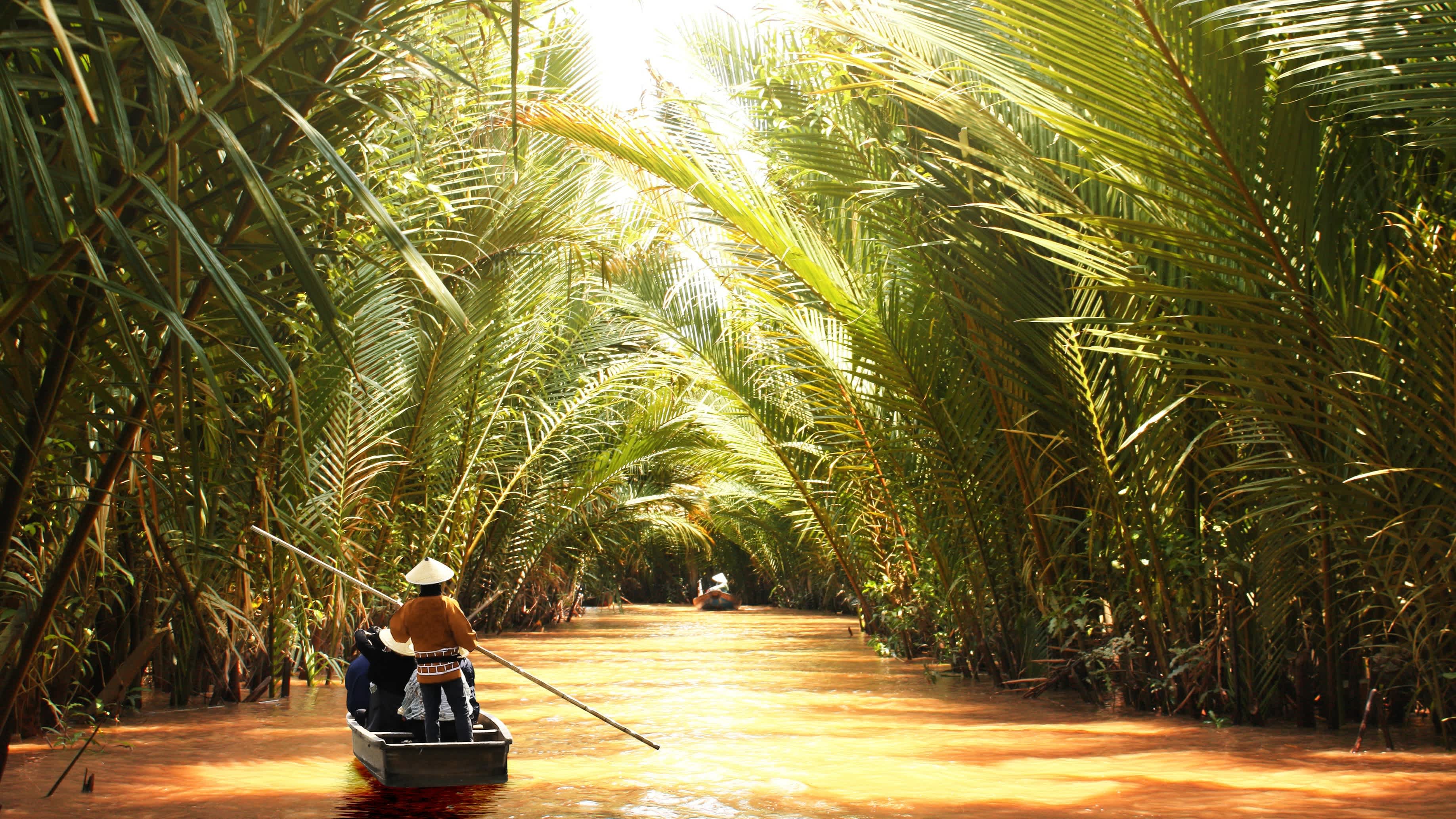 Bateau en bois dans le delta du Mékong avec une végétation dense