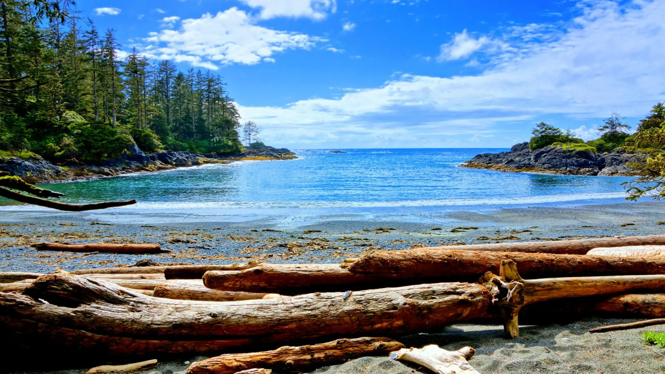 Ucluelet, Colombie-Britannique, Canada Petite baie avec bois flotté et rives rocheuses, Ucluelet, Colombie-Britannique, Canada.