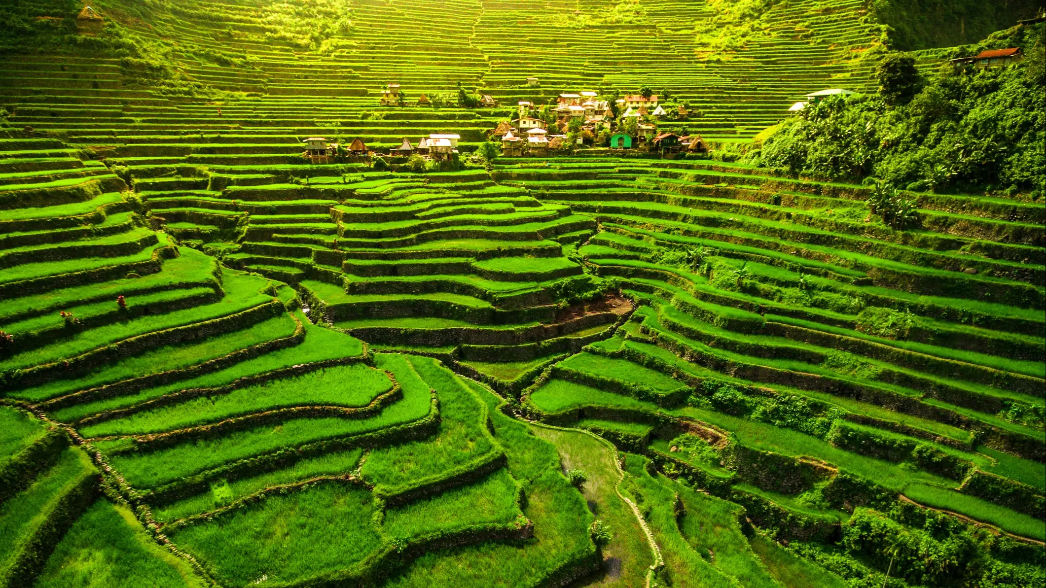 Luzon, Philippinen Grüne Reisterrassen mit Dorf in den Bergen, Batad, Luzon, Philippinen.