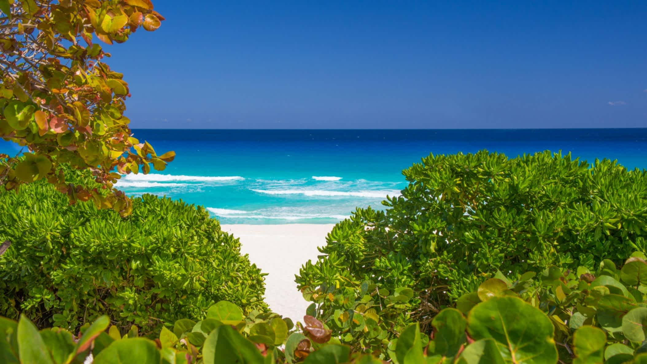 Paradiesischer Strand Playa Delfines in der Karibik, mit weißem Sand, umgeben von grünen Bäumen