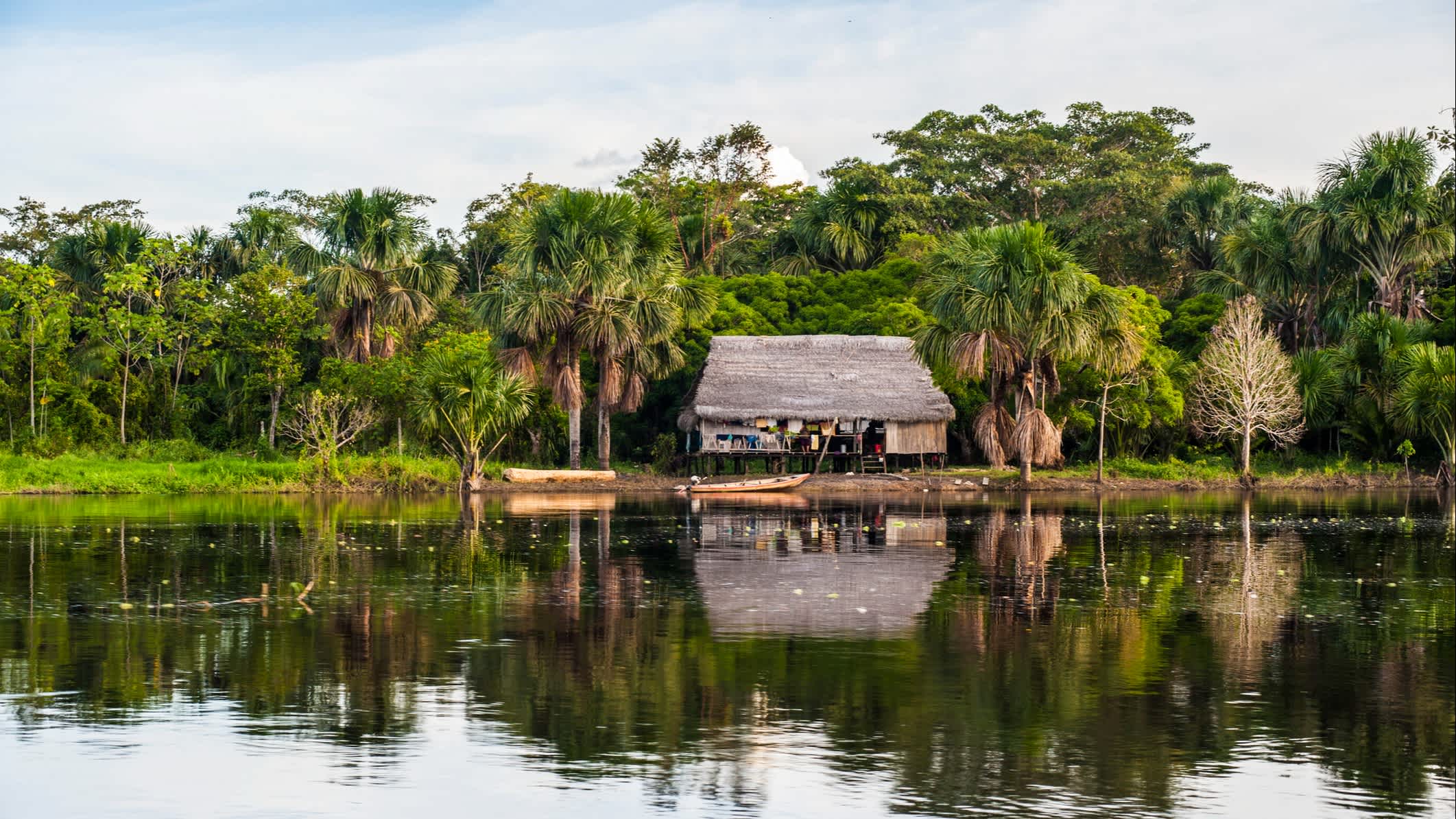 Le paysage du parc national de Pacaya Samiria avec le fleuve Maranon en Amazonie péruvienne.