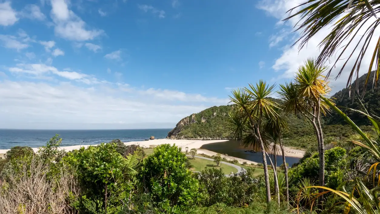 Üppiger Nikau-Palmenwald: Kohaihai Nikau Wanderung und malerische Landschaften von Karamea im Kahurangi-Nationalpark, Neuseeland
