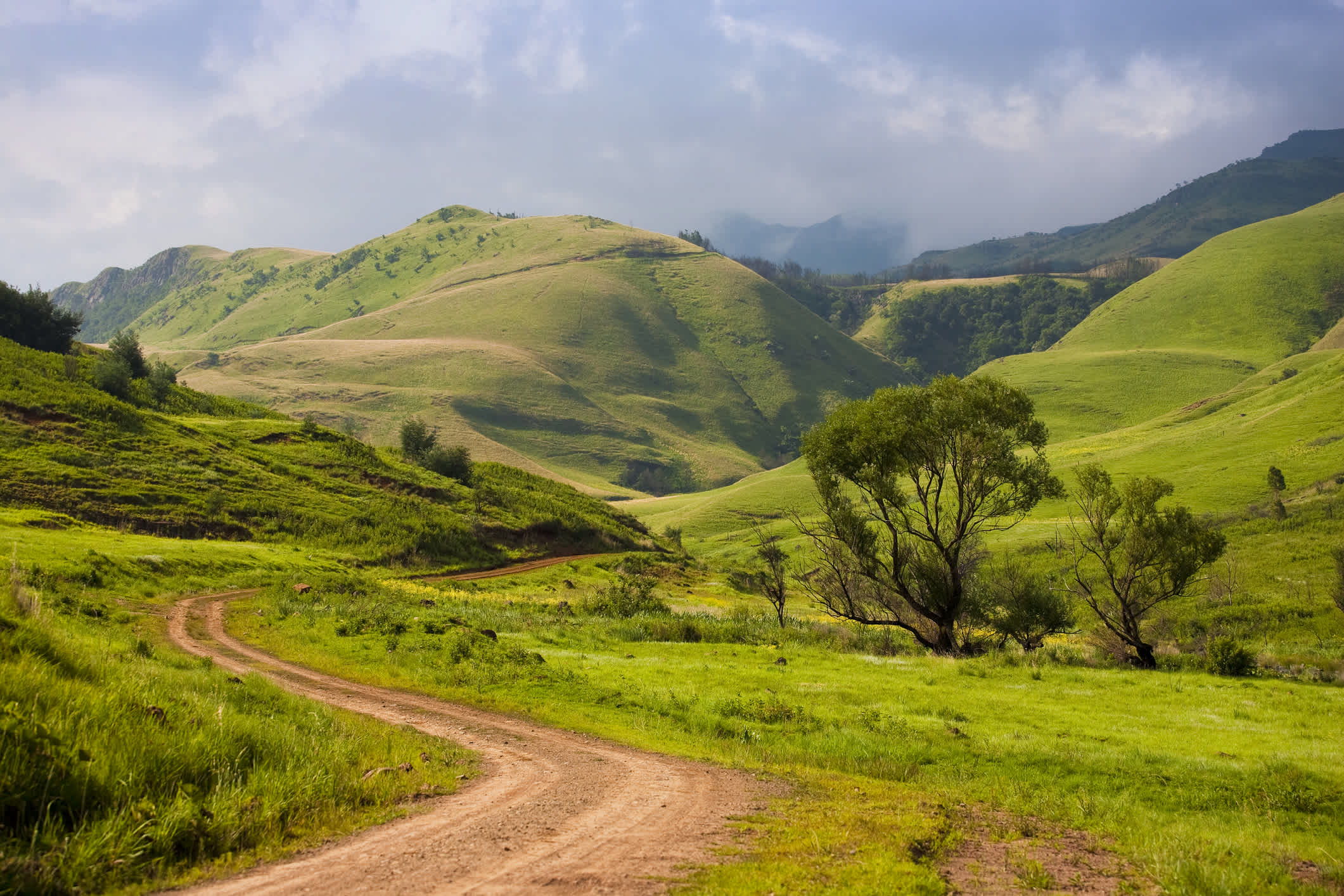 Paysage de collines verdoyantes dans le Drakensberg