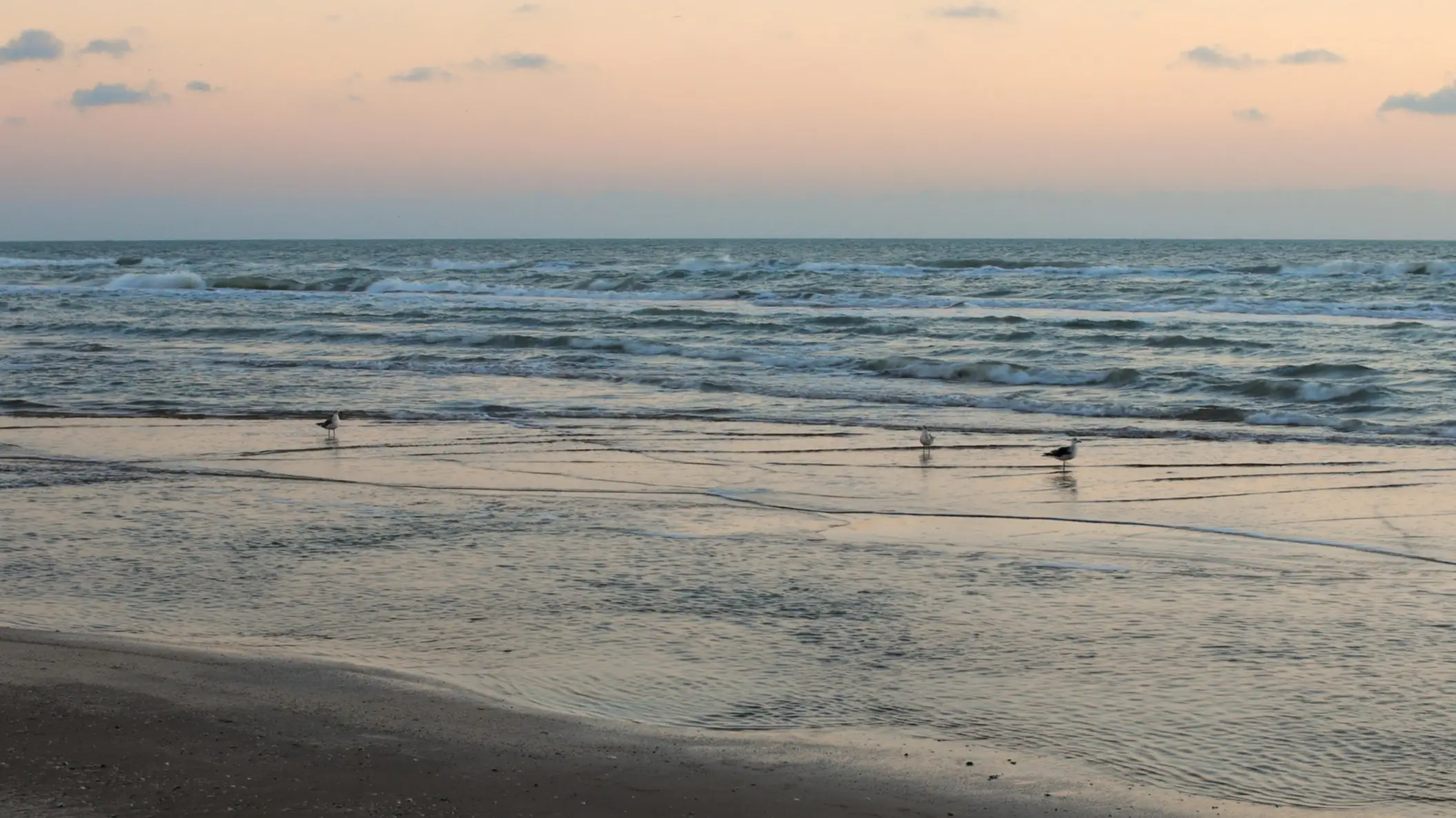 USA Texas Galveston Island East Beach Der Strand Galveston Island East Beach, Texas, USA bei Sonnendämmerung.