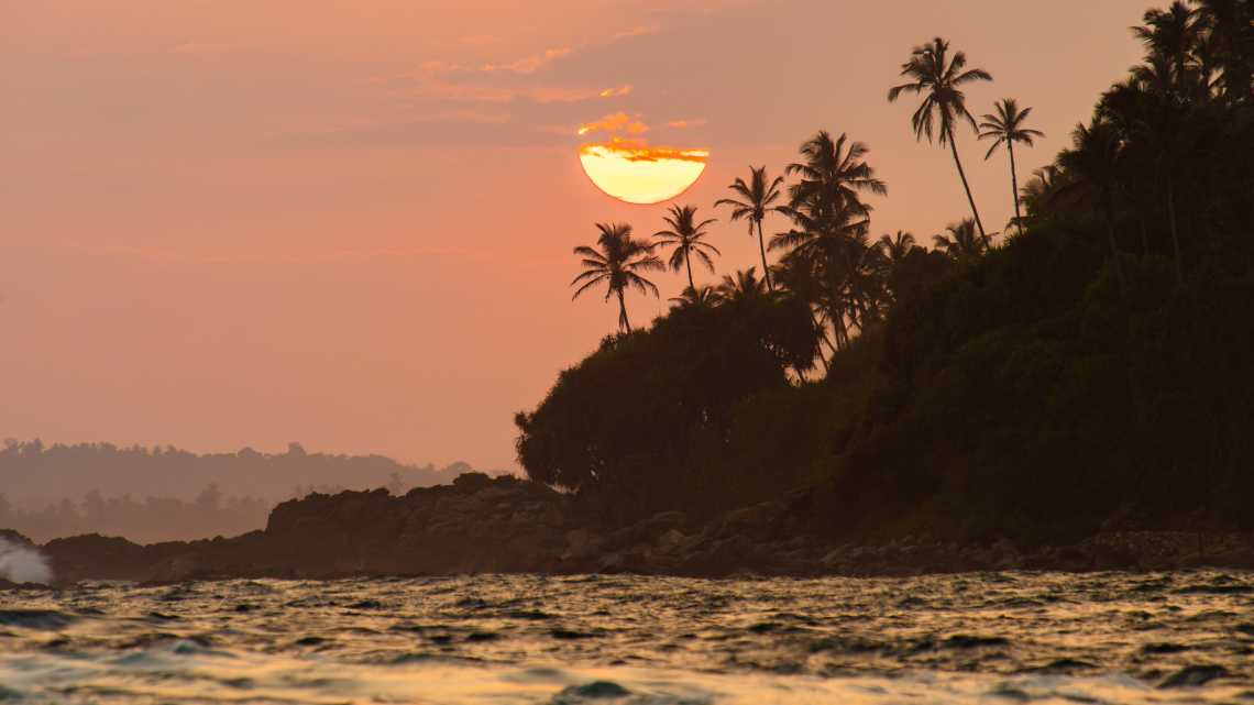 Wunderschöner tropischer Sonnenuntergang mit Palmen am Mirissa Strand