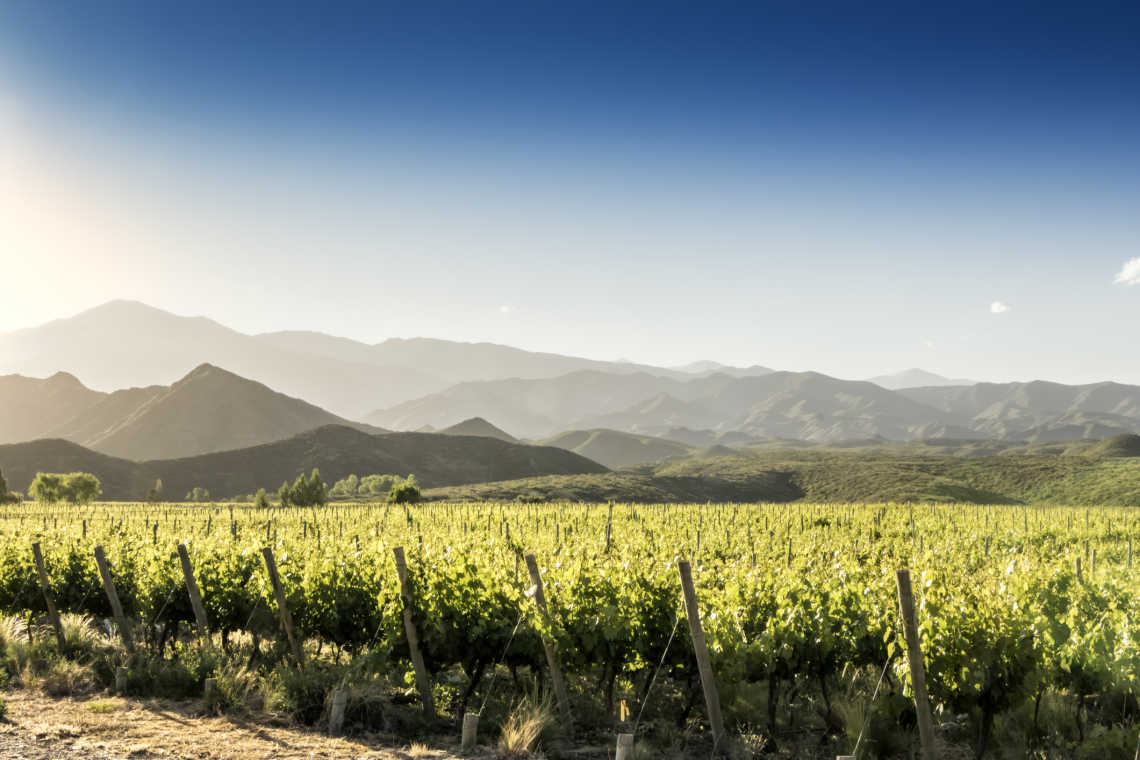 Die wunderschönen Weinberge von Tunuyin in der Weinregion Mendoza