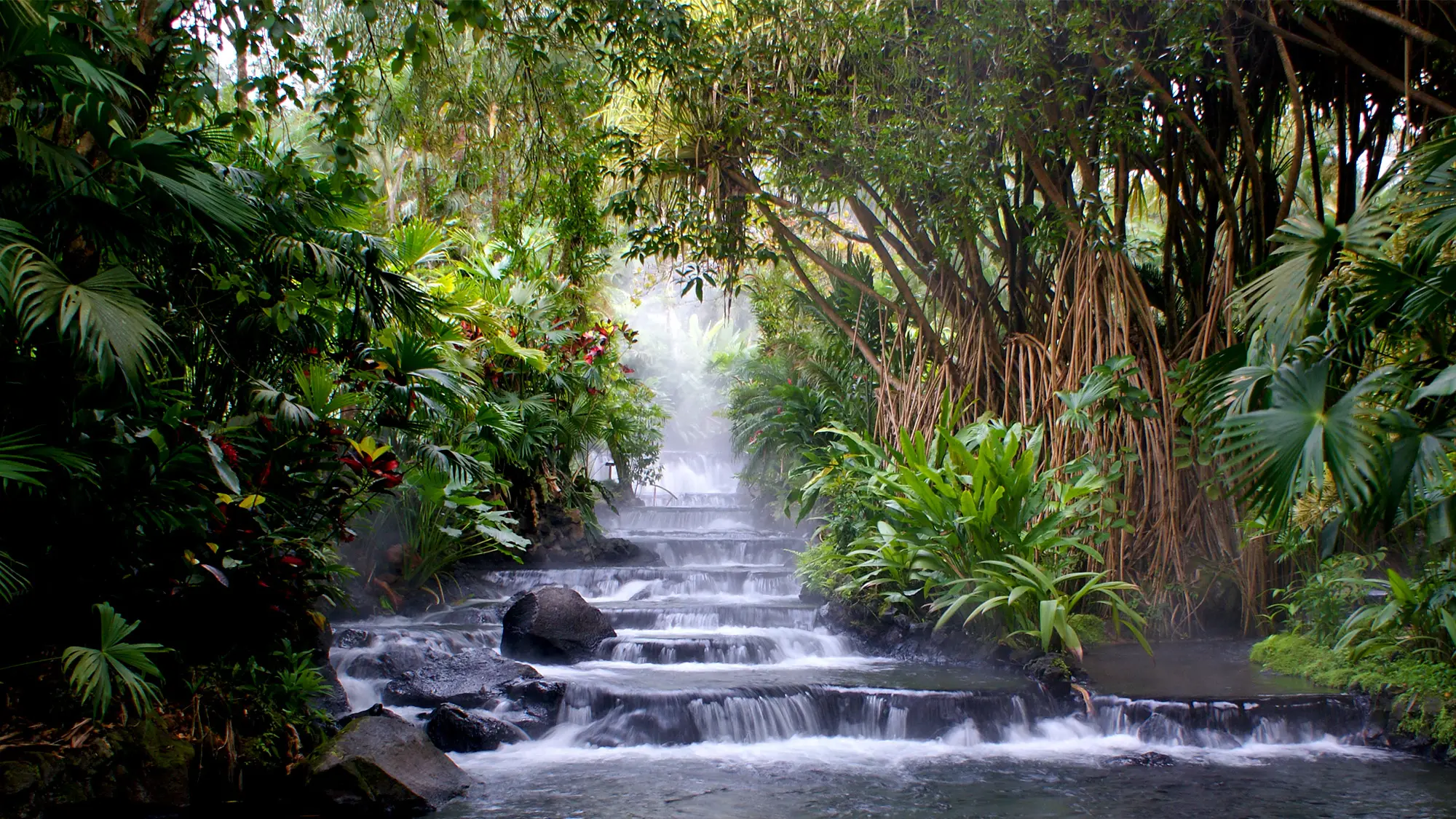 Mittelamerika - Costa Rica - Quelle La Fortuna Blick auf die heiße Quelle in La Fortuna in Costa Rica, Mittelamerika
