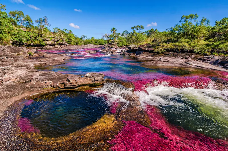 La rivière aux cinq couleurs en Colombie