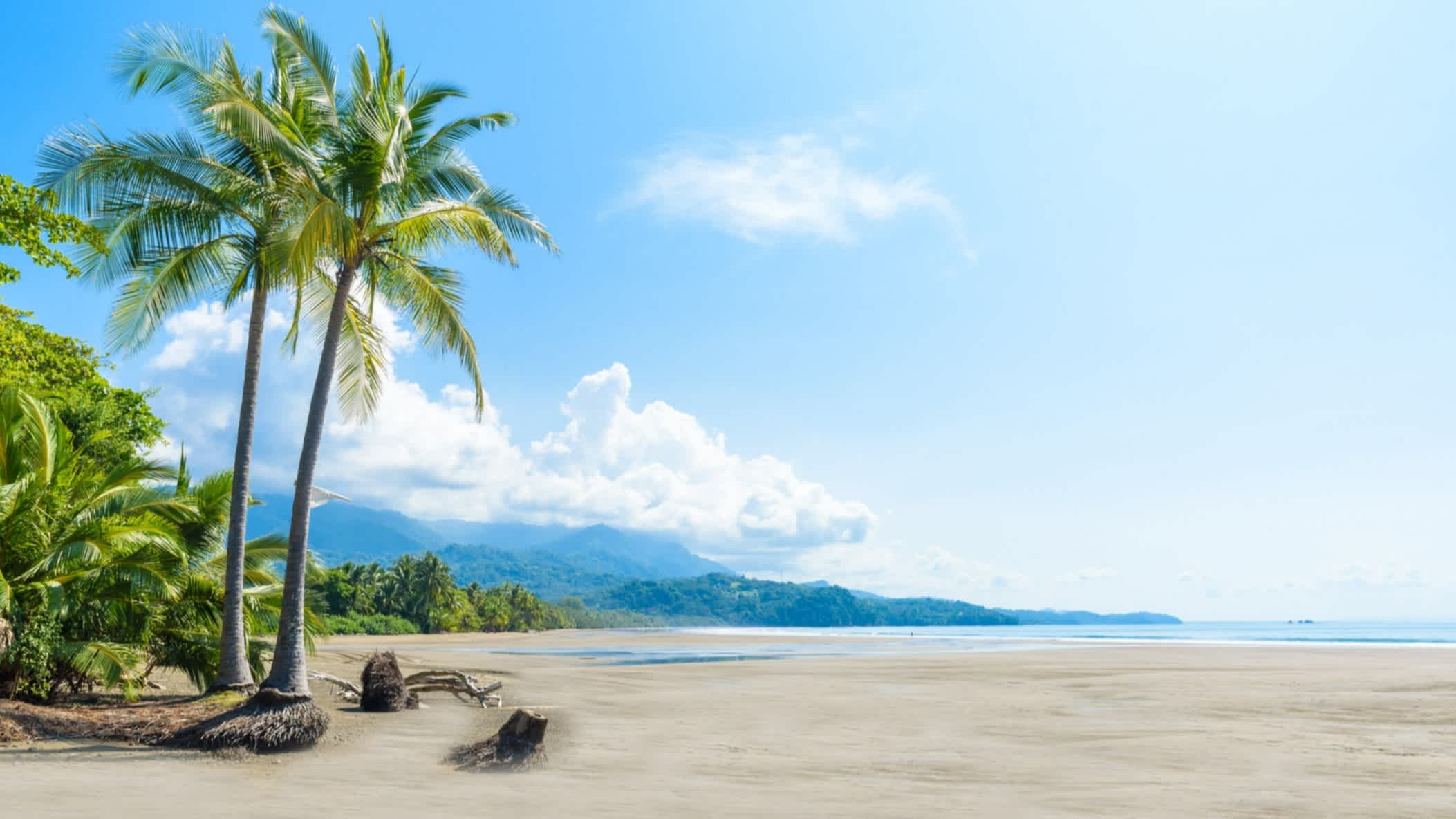 Tropischer Strand bei Ebbe in Uvita im Marino-Ballena-Nationalpark in Costa Rica bei purem Sonnenschein und mit Palmen im Bild sowie einem Gebirge im Hintergrund.