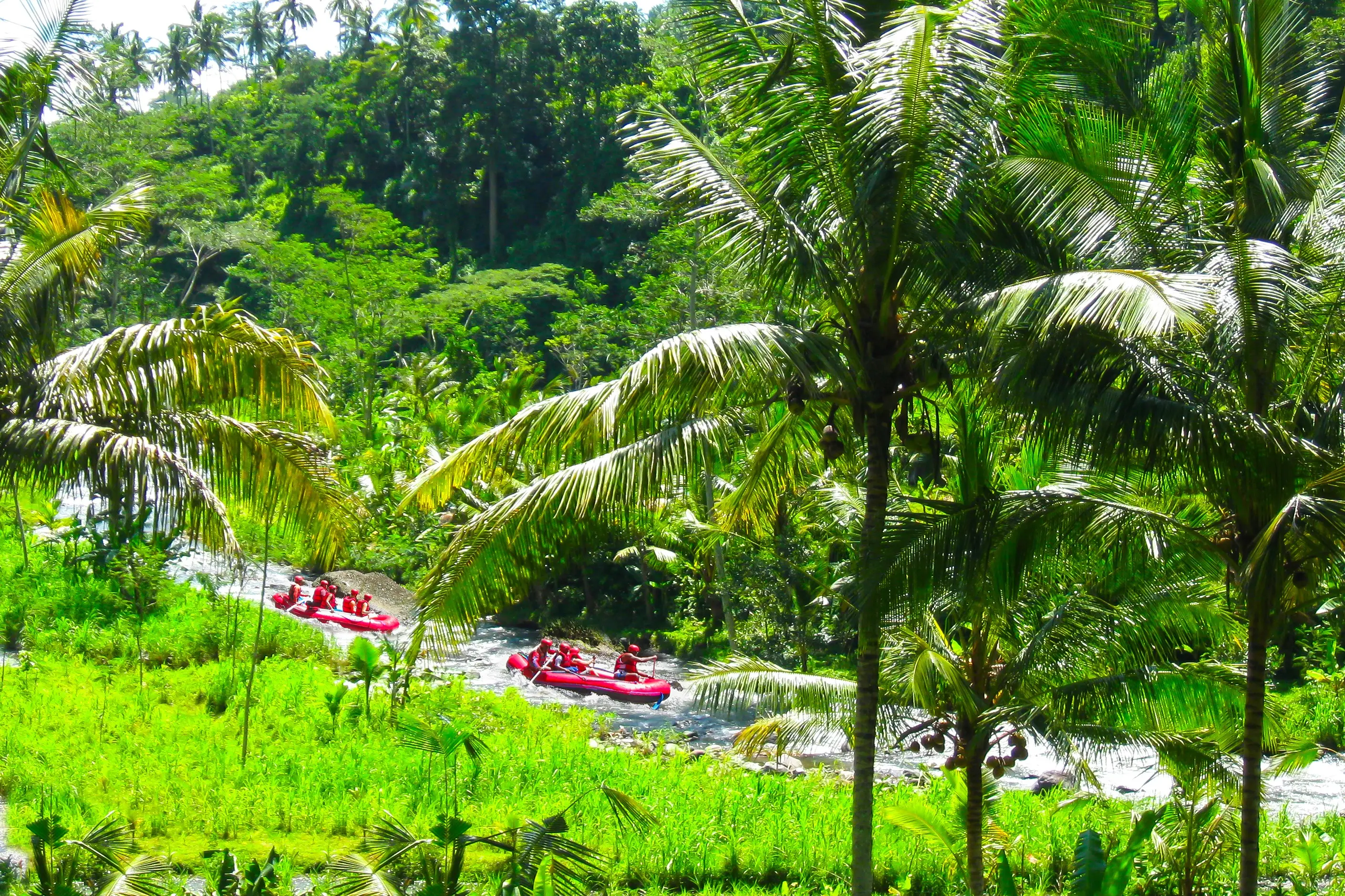 Indonésie, Bali, rafting sur la rivière Ayung Rafting dans un canyon sur la rivière de montagne Ayung à Bali, près d'Ubud, Bali, Indonésie