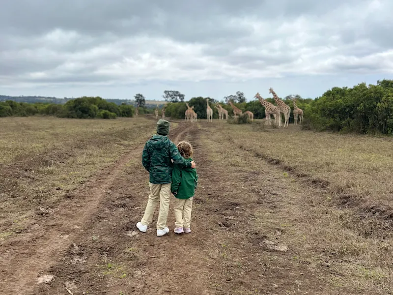 Kenia Familie Hanisevski beobachtet aus der Ferne Giraffen – einfach magisch