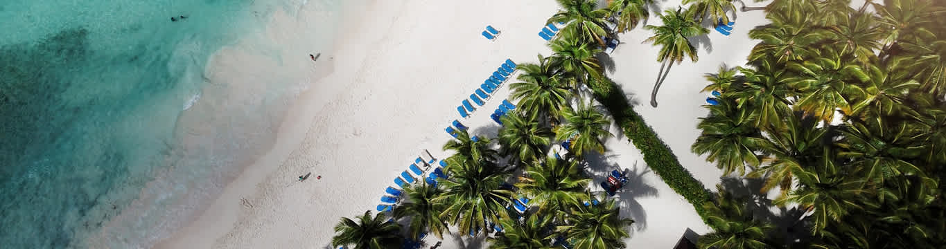 Top-Down-Drohnenaufnahme eines Strandes auf den Seychellen