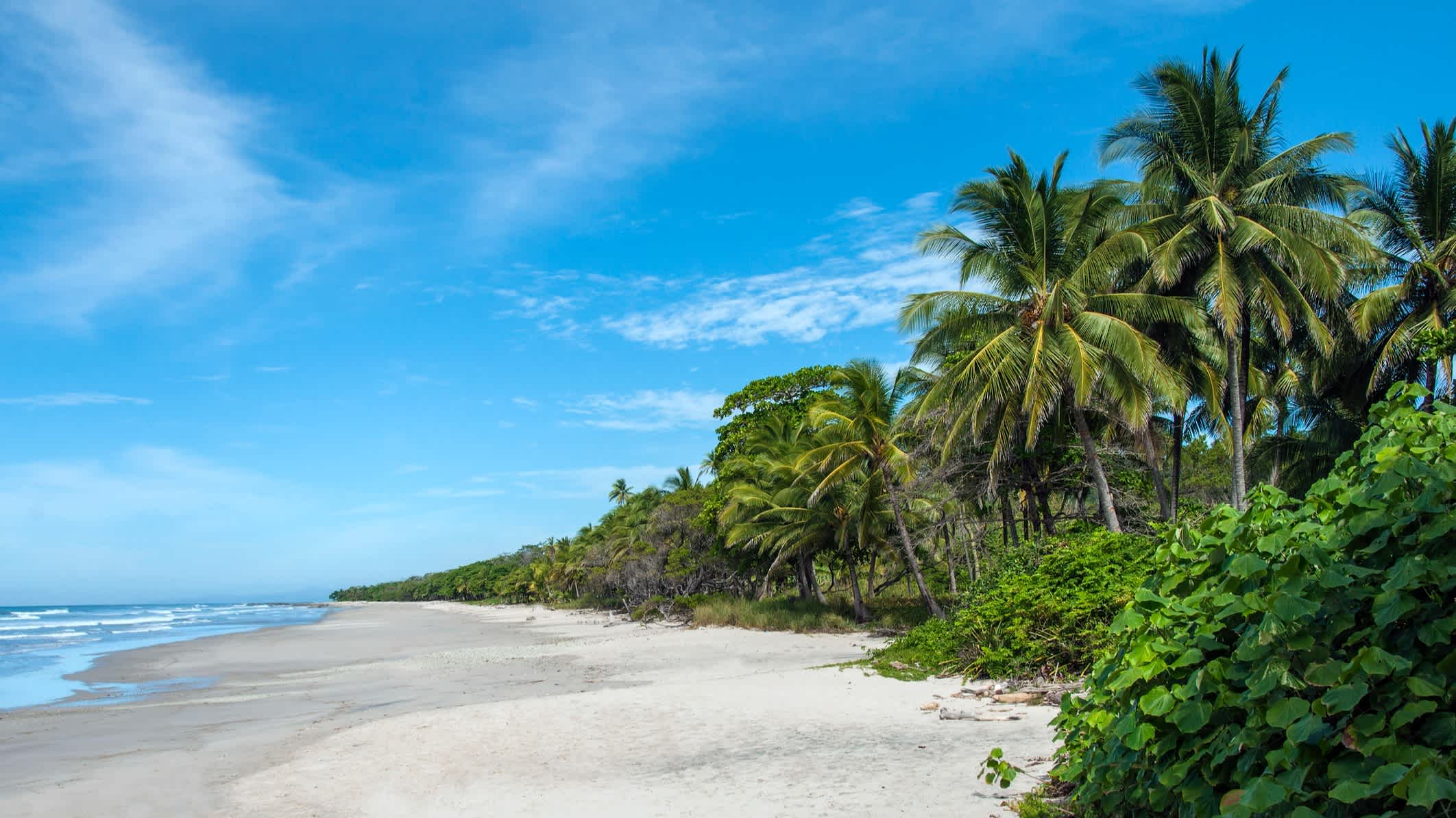 Schöner weißer Sandstrand mit Palmen bei sonnigem Wetter und blauem Meet in Mal País an der Pazifikküste der Nicoya-Halbinsel in Costa Rica.