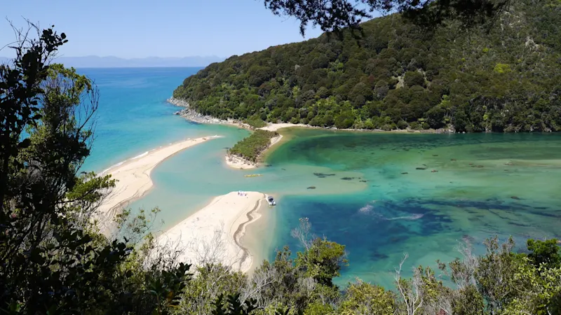 Parc national de Tasmanie Une nature intacte dans le parc national de Tasmanie avec une végétation dense et des vues pittoresques