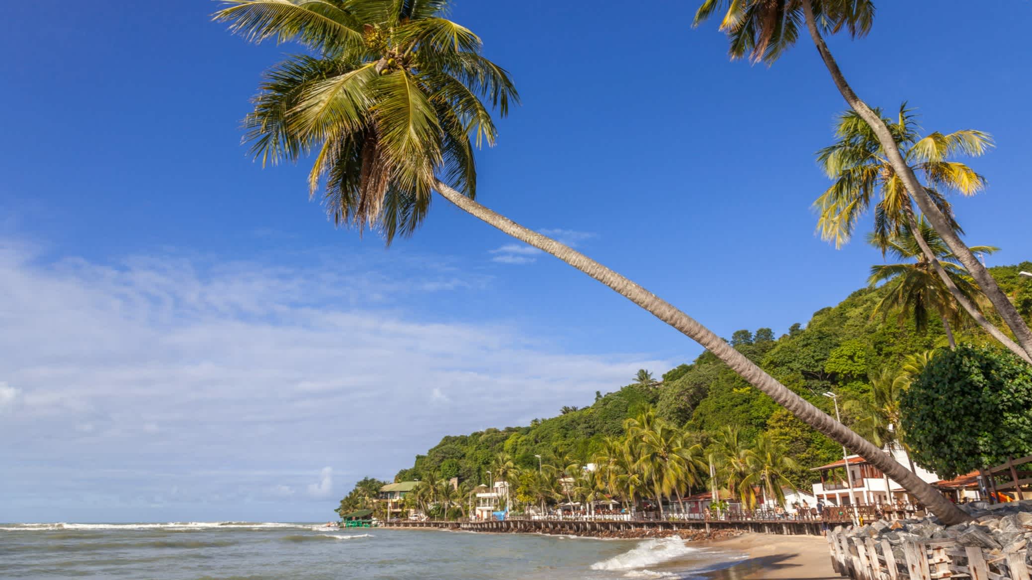 Plage de Praia da Pipa au Brésil