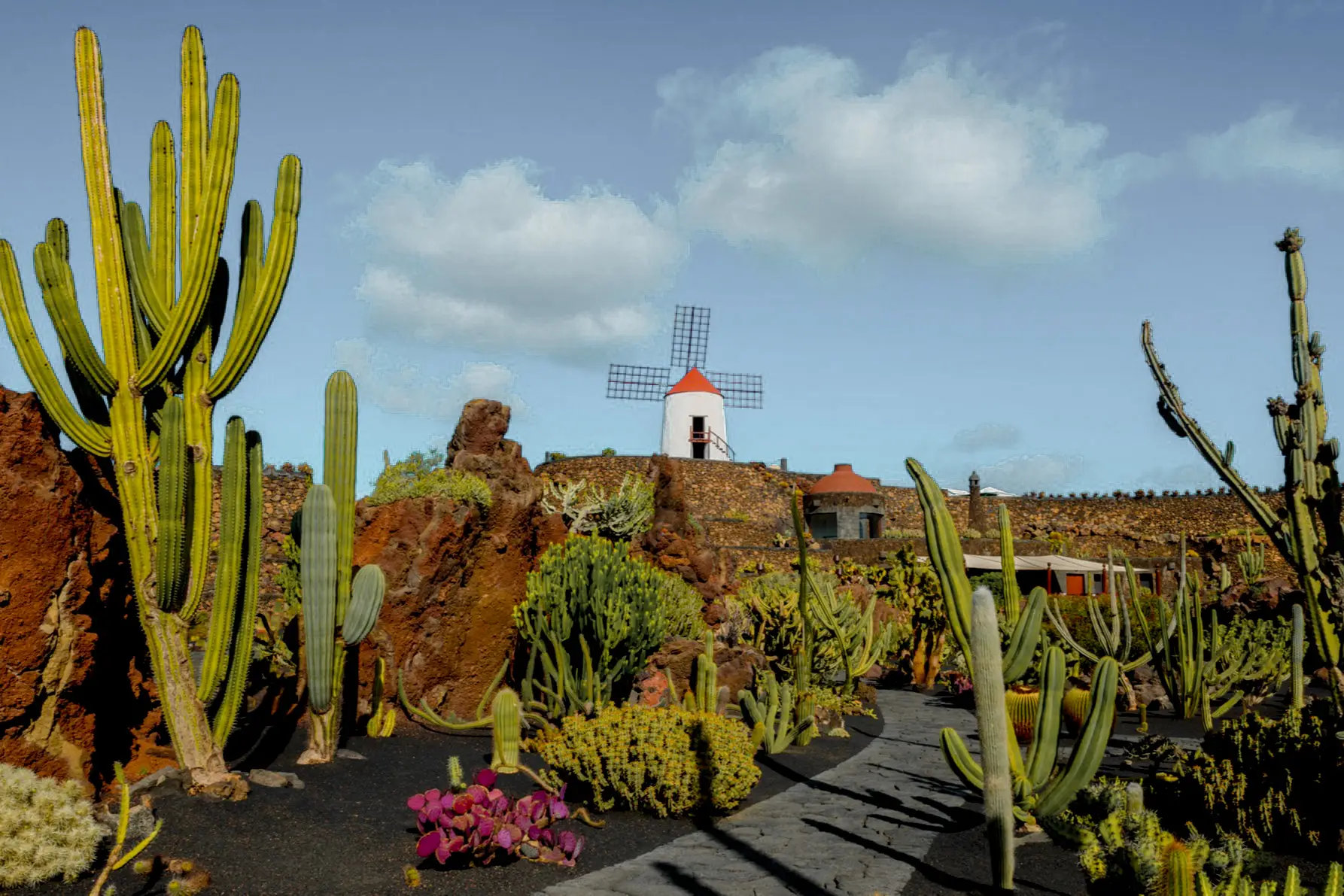 Kaktus Garten in Lanzarote, Kanarische Inseln, Spanien. 