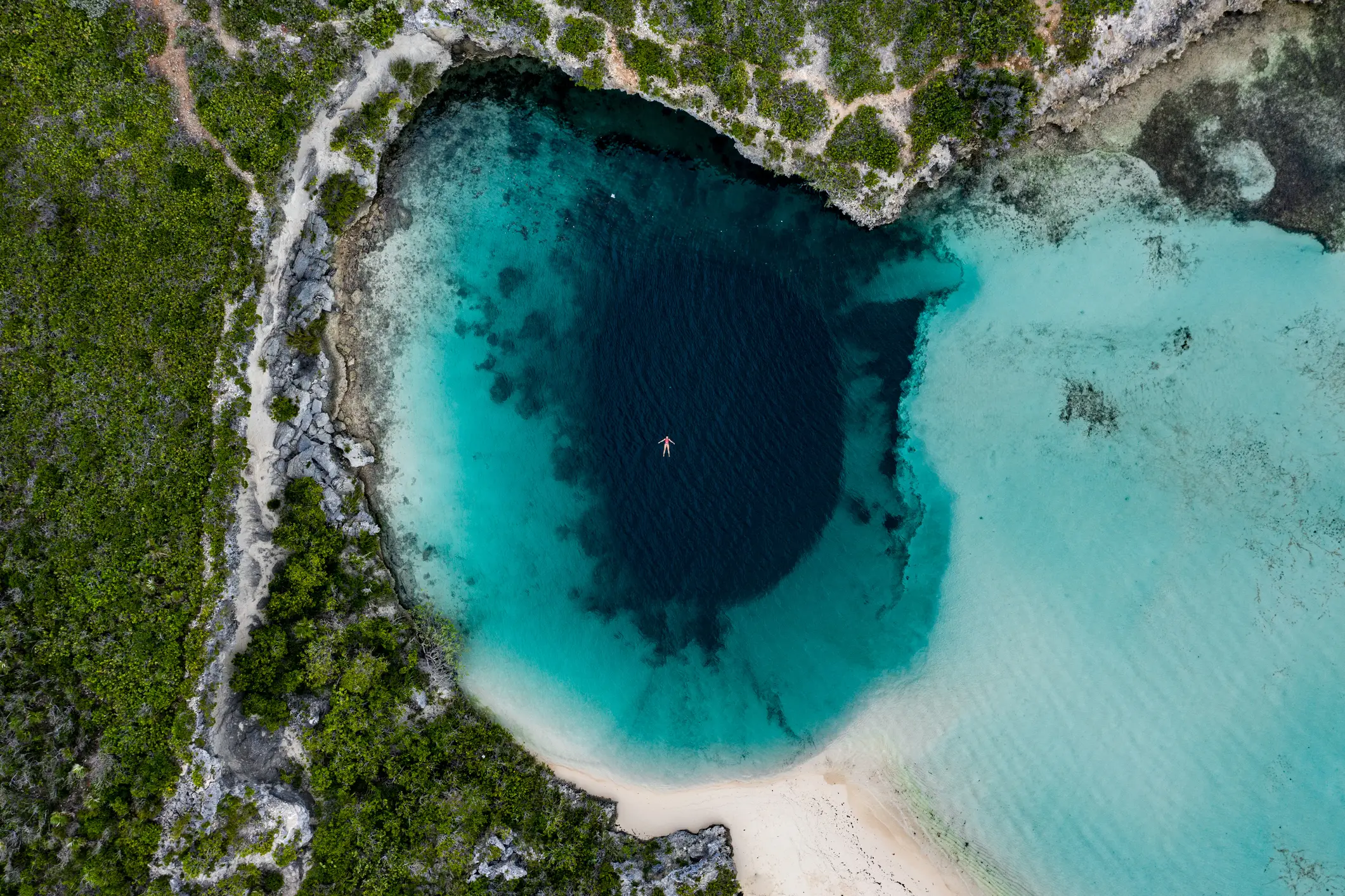 Bahamas, Long Island, Dean's Blue Hole Person treibt im tiefblauen Wasser des Dean's Blue Hole, Long Island, Bahamas.