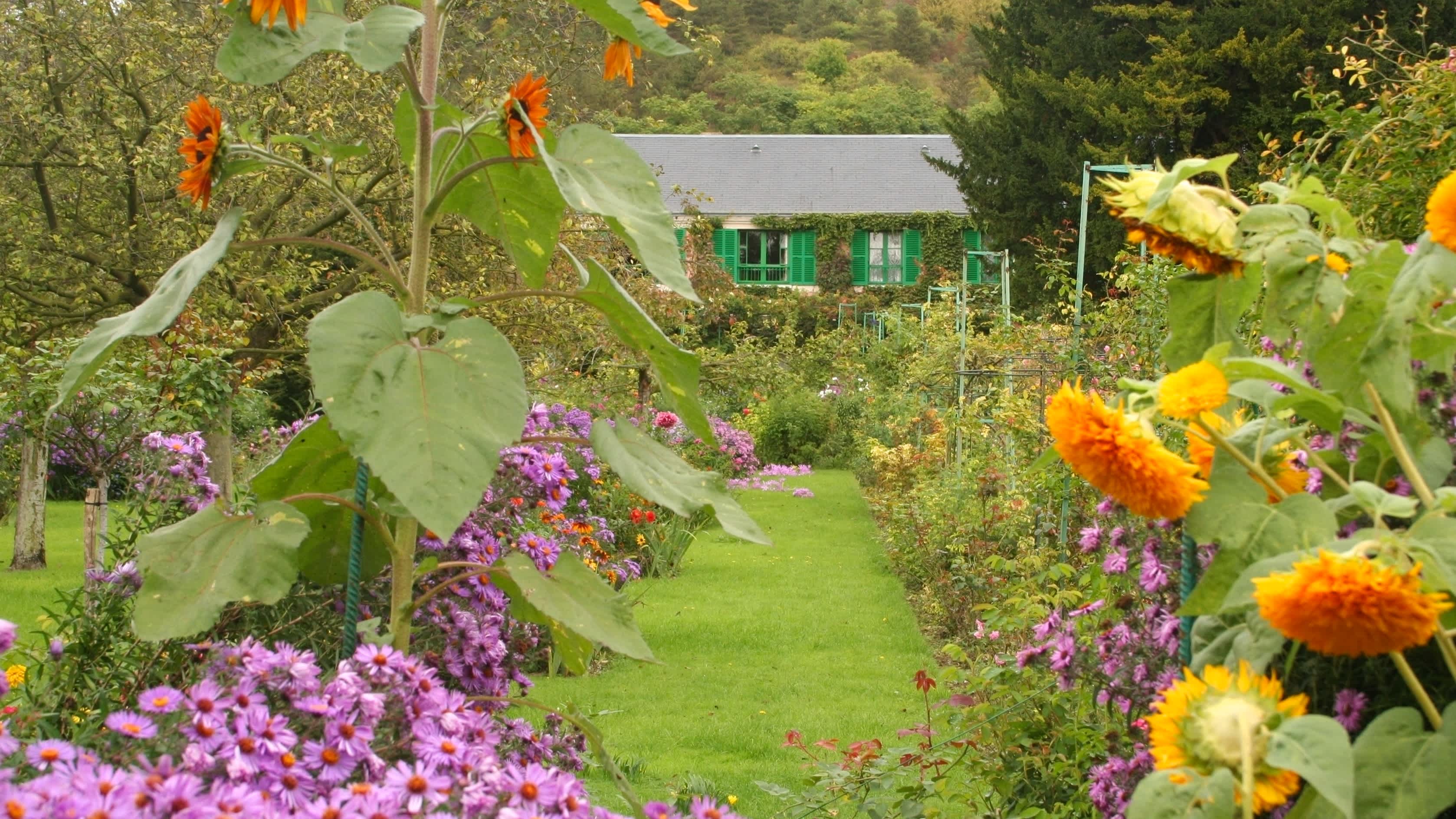 Maison et jardin de Monet avec des tournesols, France
