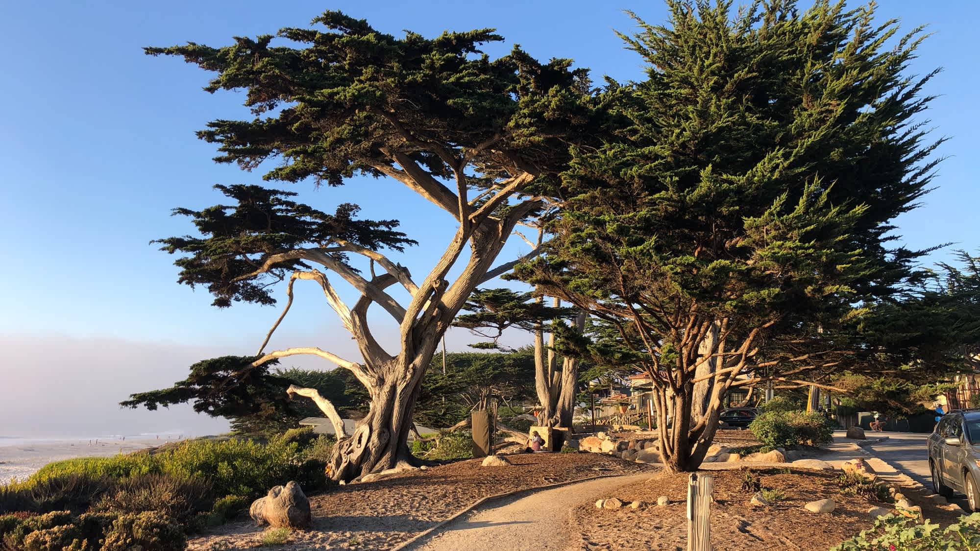 Der Beach City Park in Kalifornien, USA, bietet einen wunderschönen Ausblick.