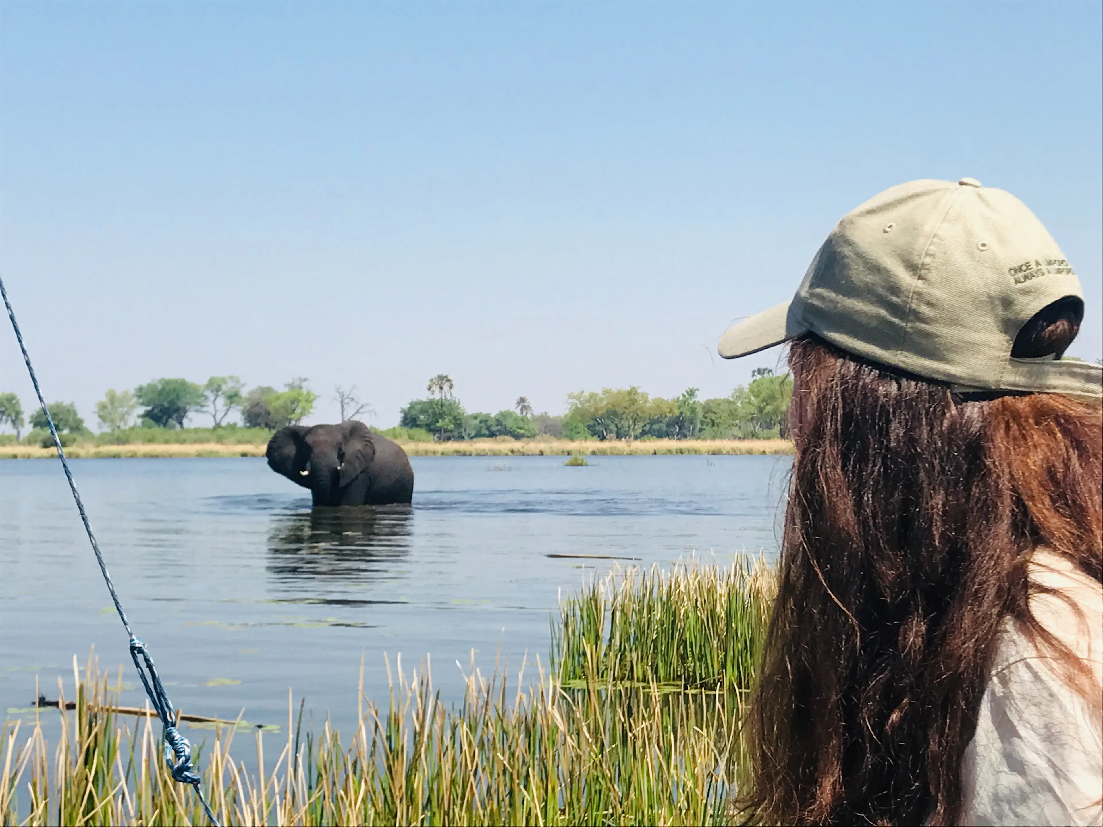 Marlene beobachtet einen Elefanten im Wasser, Afrika