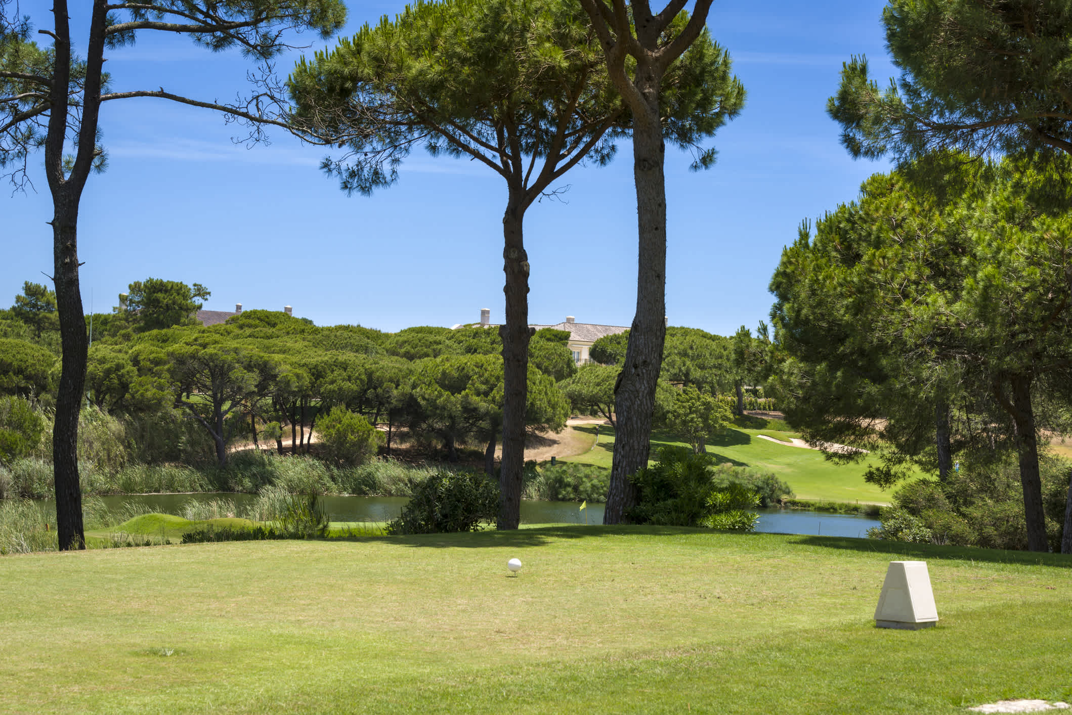 Golfplatz zwischen Pinien ohne Spieler, Algarve, Portugal. 