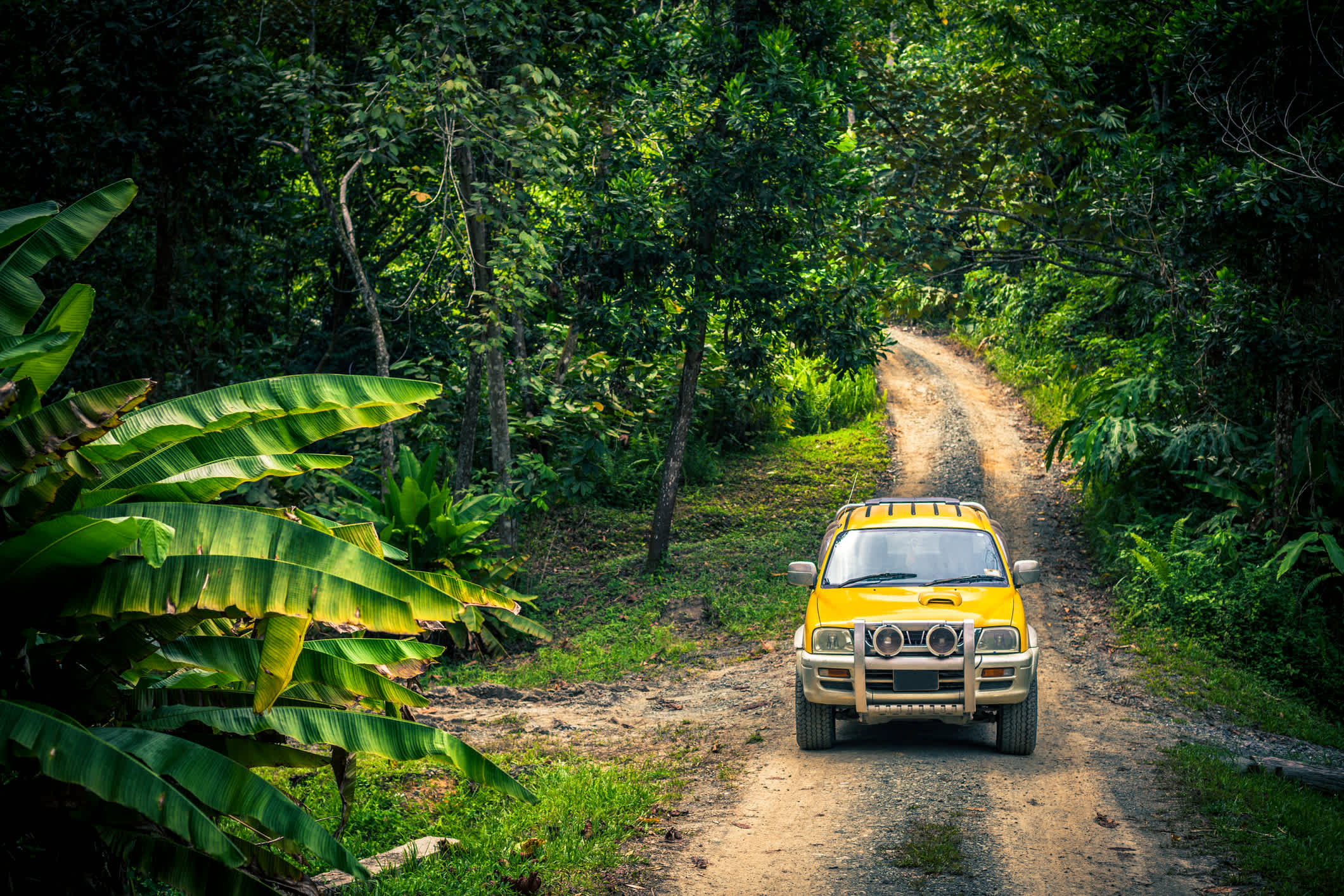 Jeep-Abenteuer im Dschungel 
