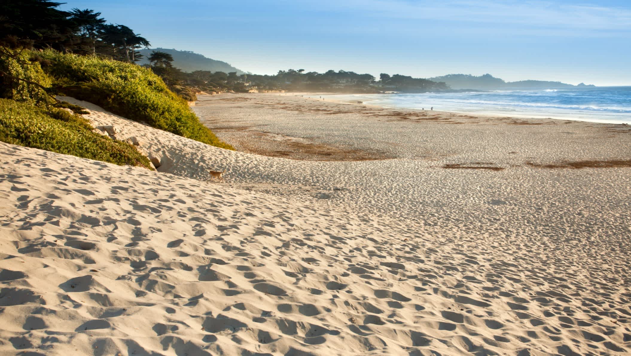Étendue de sable blanc bordé de végétation sur la Plage de Carmel, Carmel by-the-Sea en Californie