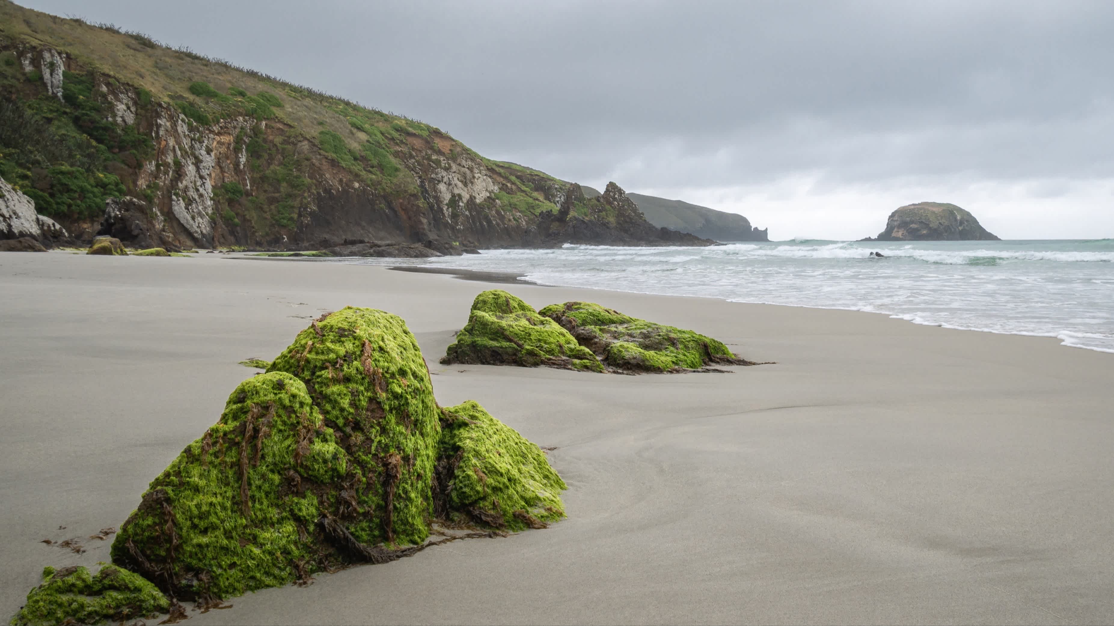 Aufnahme bei bewölktem Tag am Allans Beach, Dunedin, Otago Peninsula, Neuseeland mit dem Meer, Klippen sowie Felsen im Bild.

