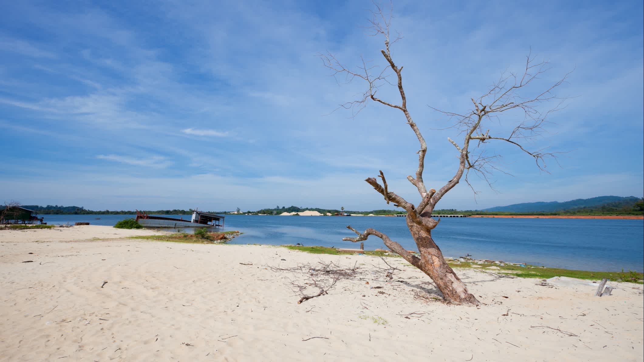 Arbre sur le sable blanc au bord de la plage de Sner au Cambodge