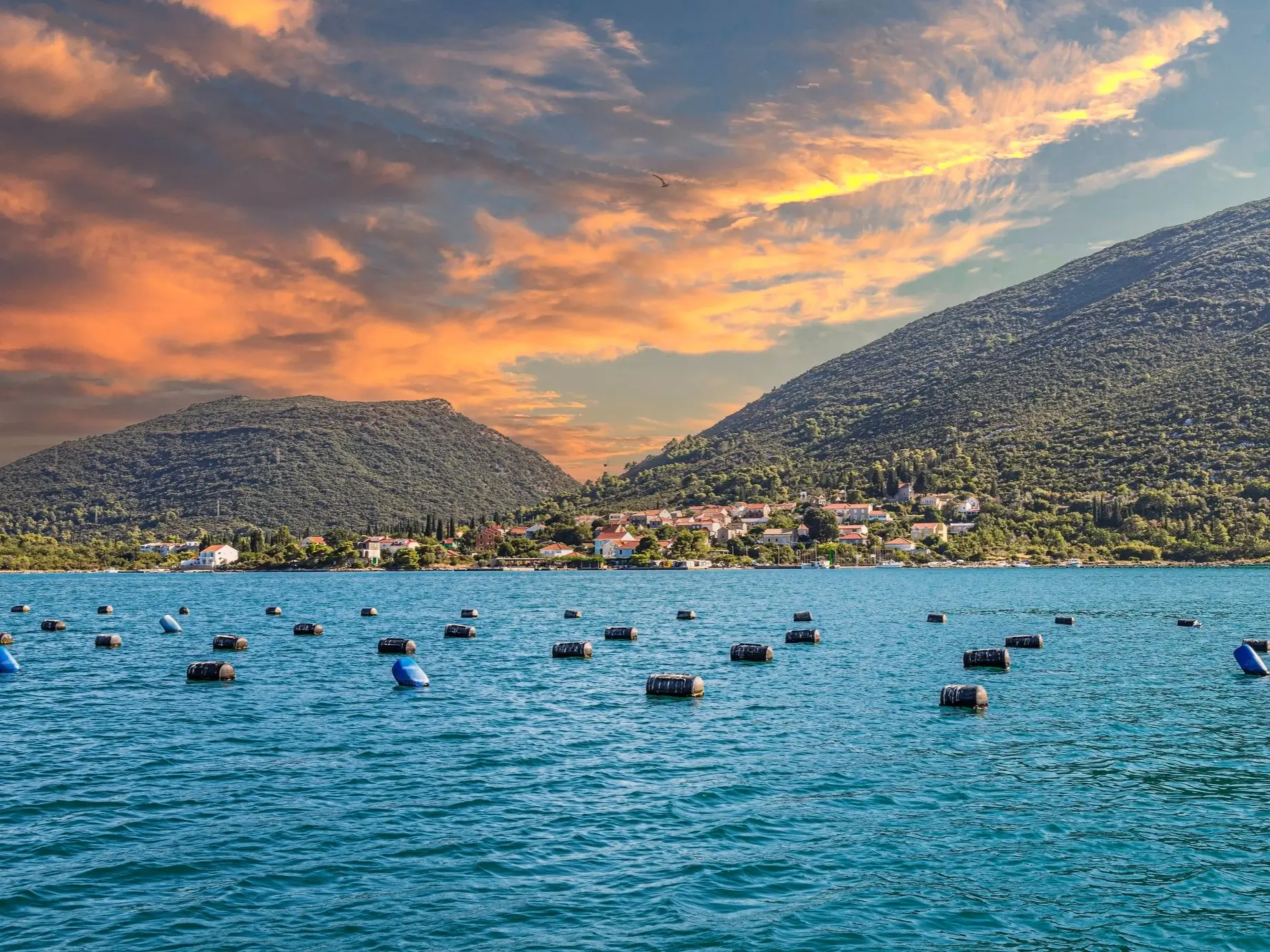 Kroatien, Mali Ston, Austernzucht