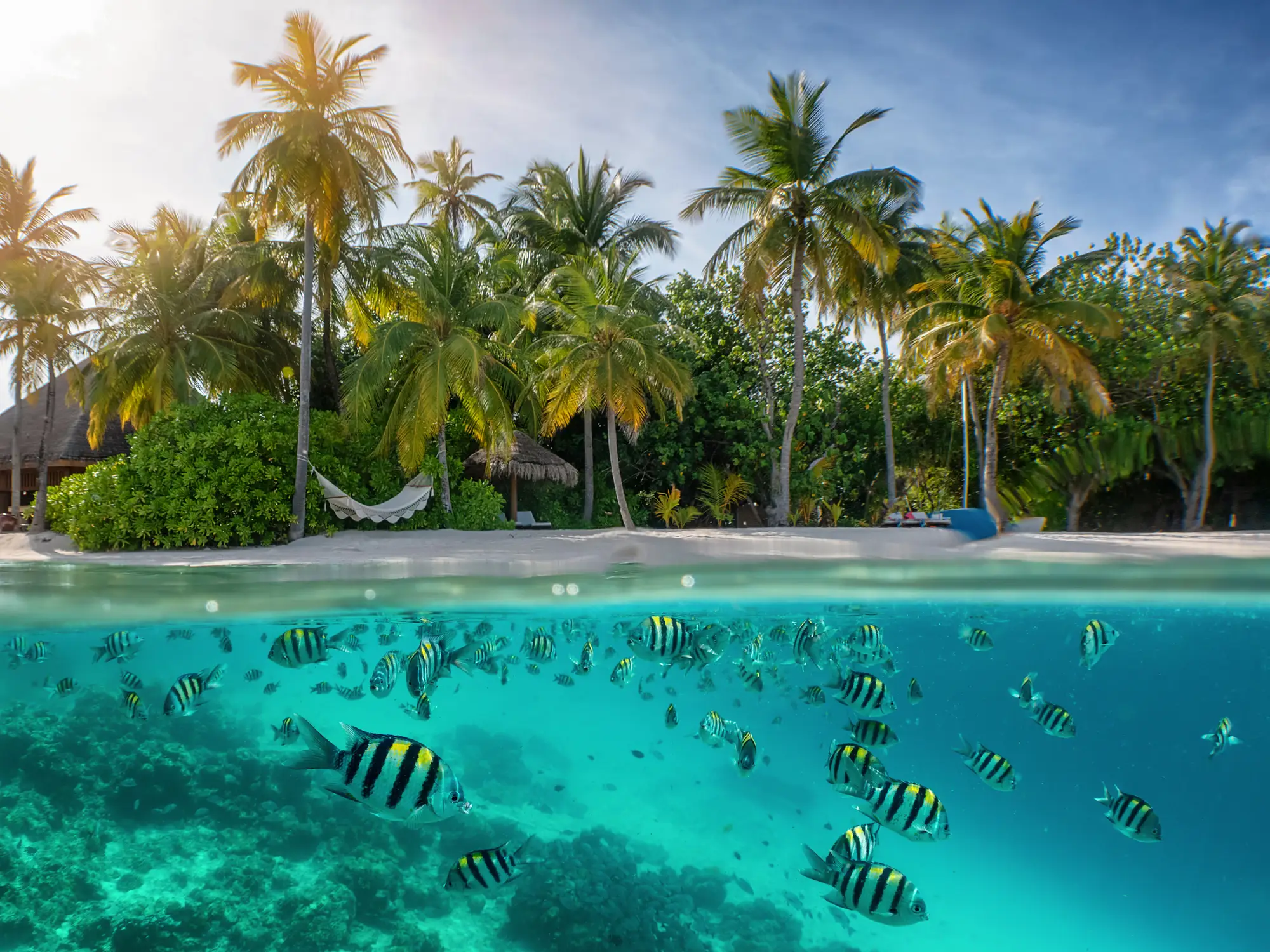 Malediven, Unterwasserwelt Unterwasserwelt mit bunten Fischen und Korallen und im oberen Teil ein Strand, Malediven.