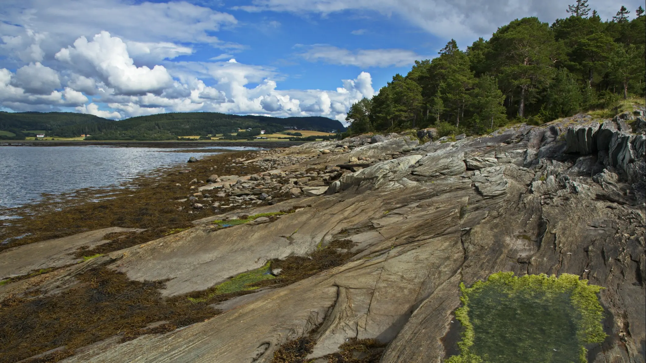 Norwegen, Steinkjer, Paradisbukta Die Landschaft von Paradisbukta, Steinkjer, Norwegen.