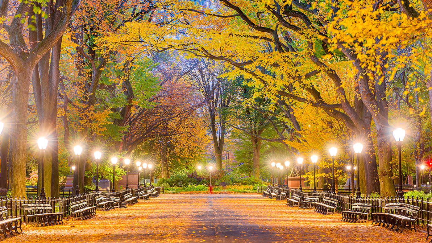 Als Paar durch den erleuchteten Central Park in New York spazieren