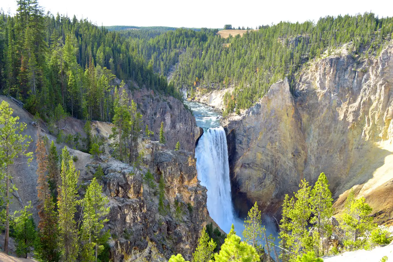USA, Yellowstone, Lower Falls Ein Blick auf den Lower Falls Wasserfall am Yellowstone River im Yellowstone National Park.