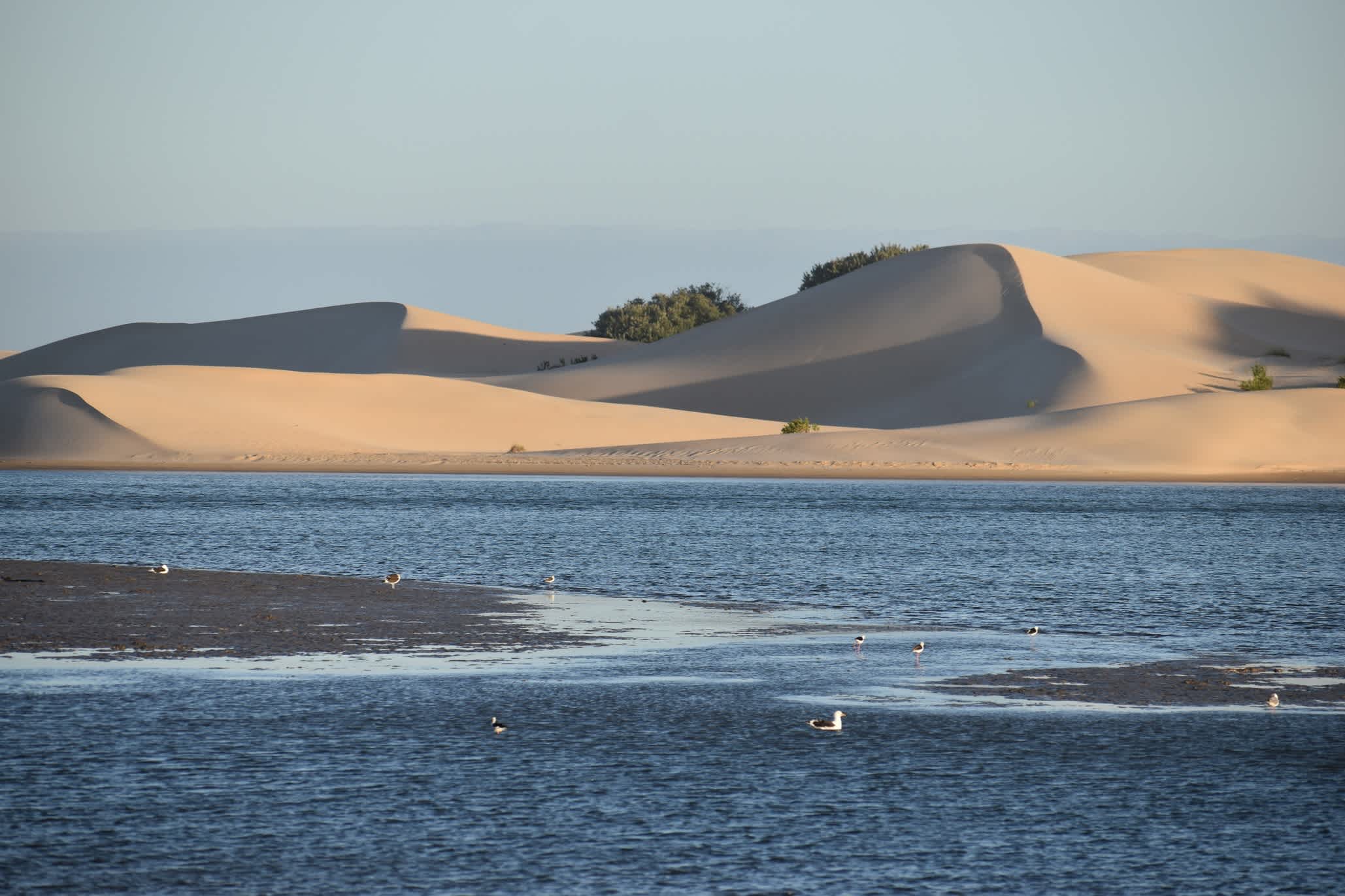 Sanddünen vom Sundays River in Südafrika aus gesehen