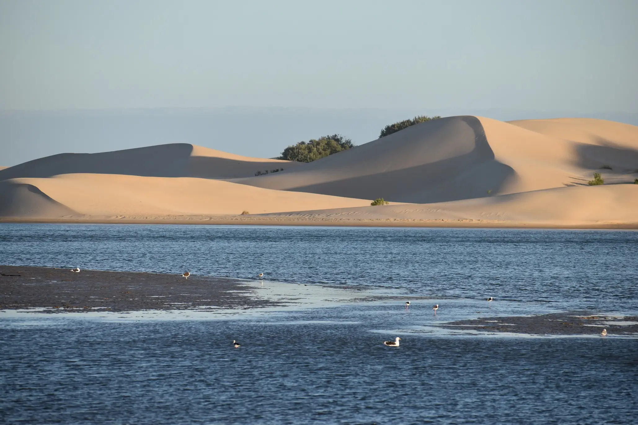 Südafrika, Sundays River, Sanddünen Sanddünen vom Sundays River in Südafrika aus gesehen
