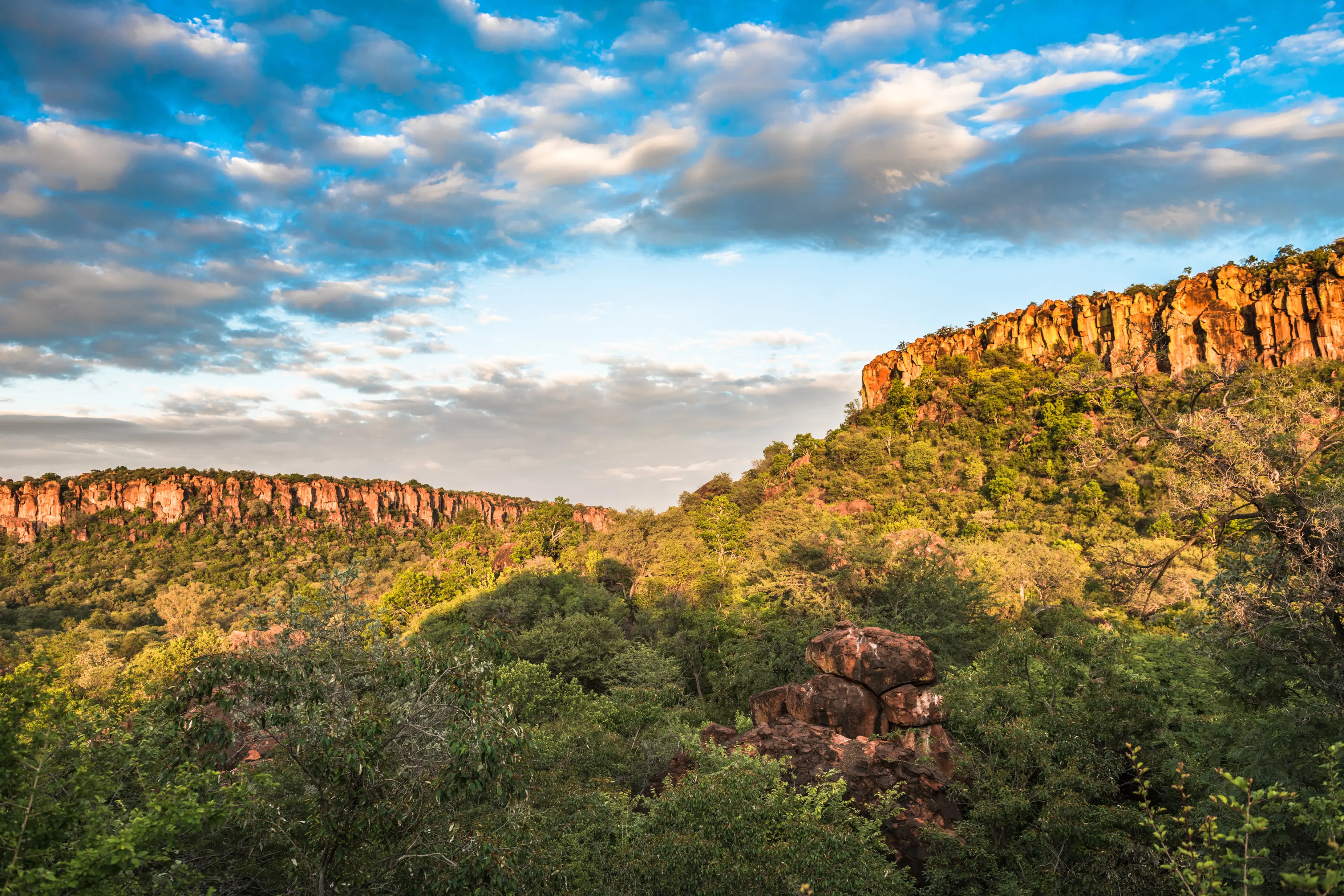 Namibie Plateau du Waterberg Le magnifique plateau du Waterberg en Namibie s'élève à deux cents mètres au-dessus des plaines environnantes.