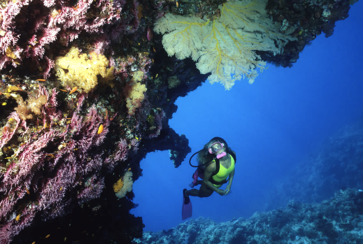 Eine Frau, die die Korallenriffe des Great Barrier Reefs beim Tauchen erkundet in Australien
