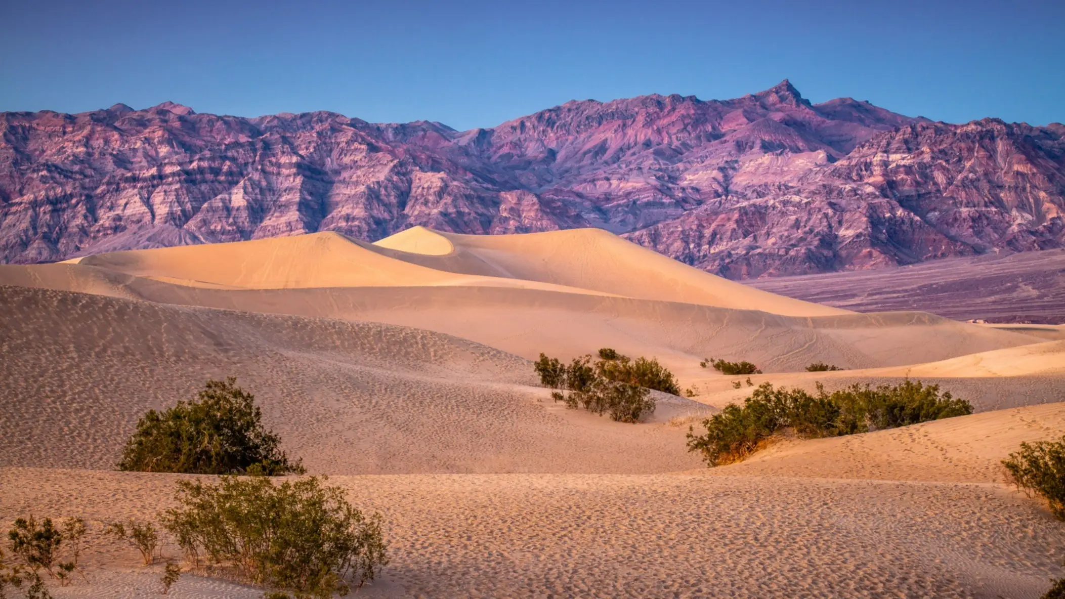 États-Unis Californie Parc national de la Vallée de la Mort Le paysage balayé par le vent des Mesquite Flat Dunes, Death Valley National Park, États-Unis, au coucher du soleil et dans un ciel dégagé.